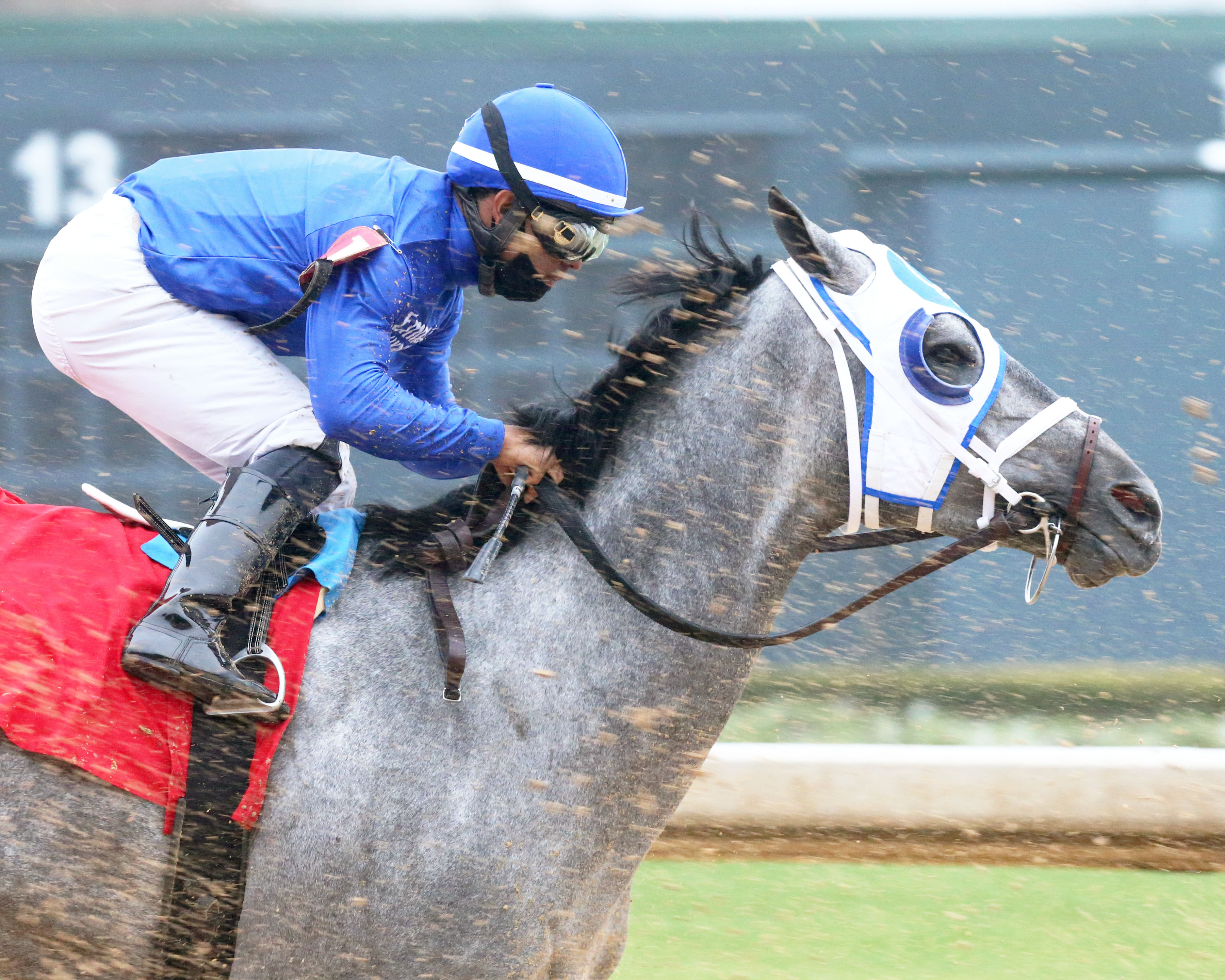 Essential Quality wins Southwest Stakes 2-27-2021