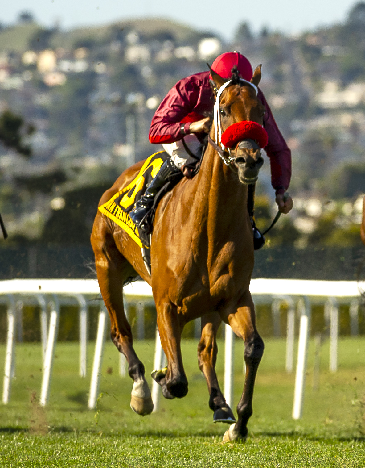 Evening Sun wins San Francisco Mile 4-30-2022