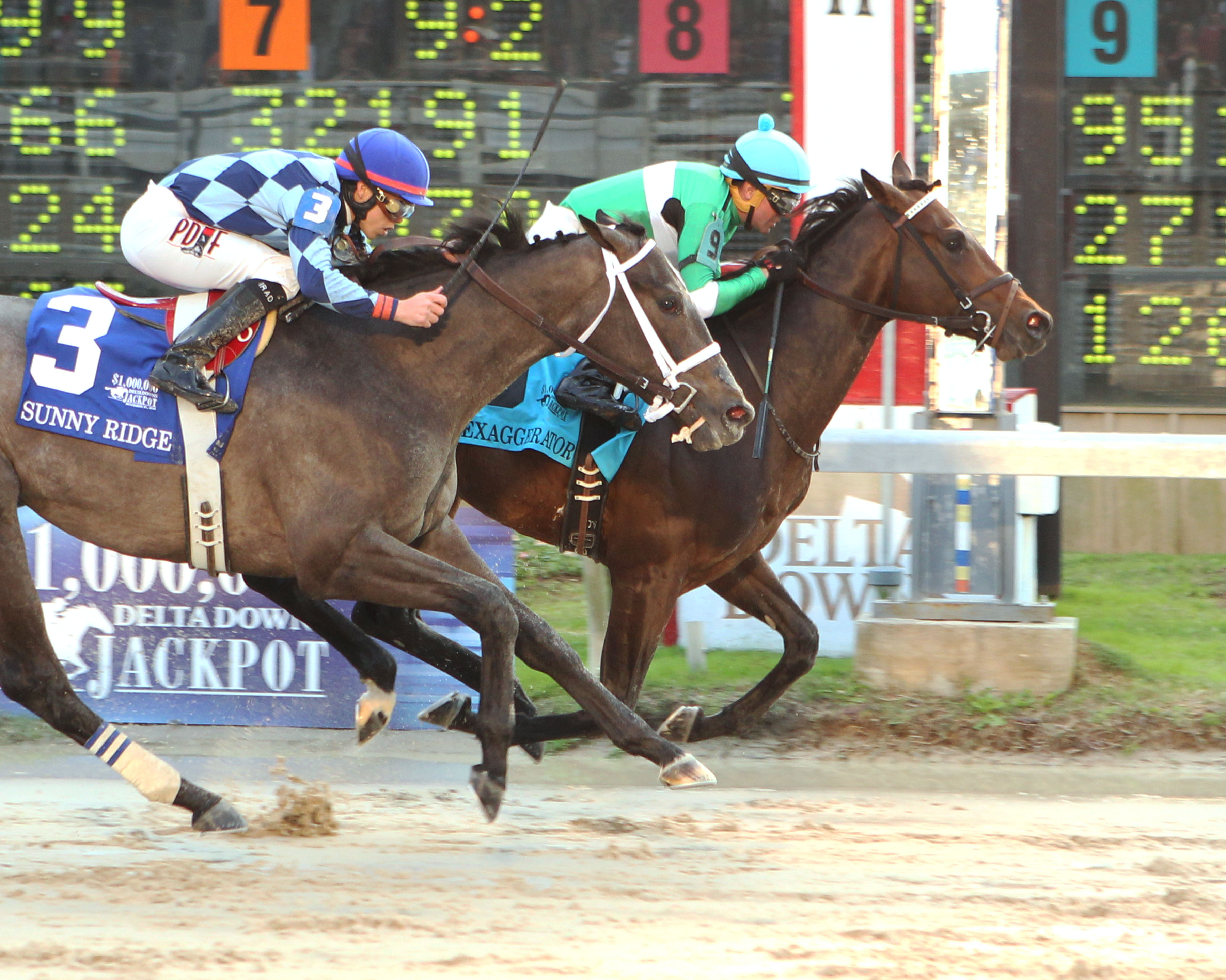 Exaggerator 11-21-2015
