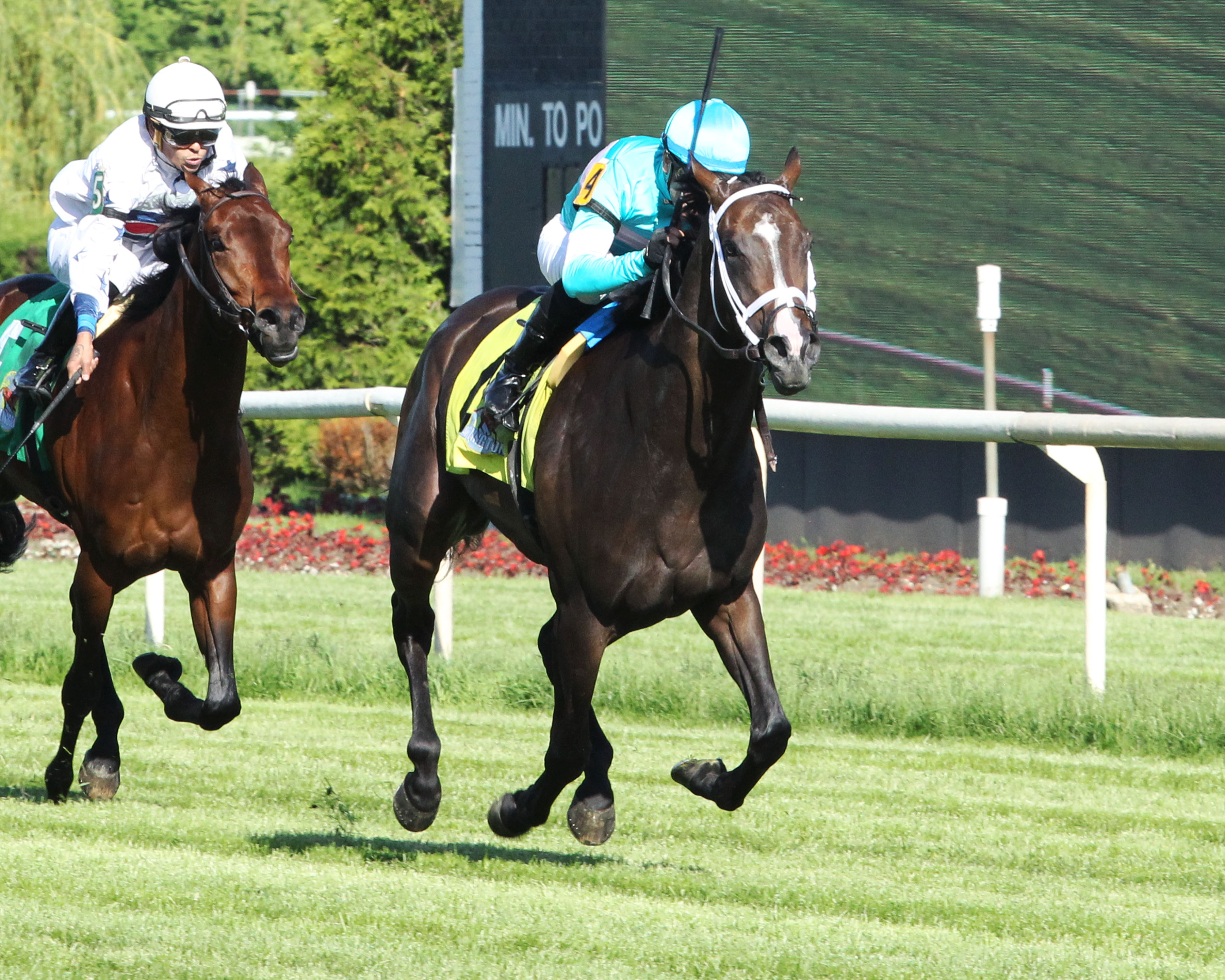 Ezmosh wins 2018 Arlington Classic