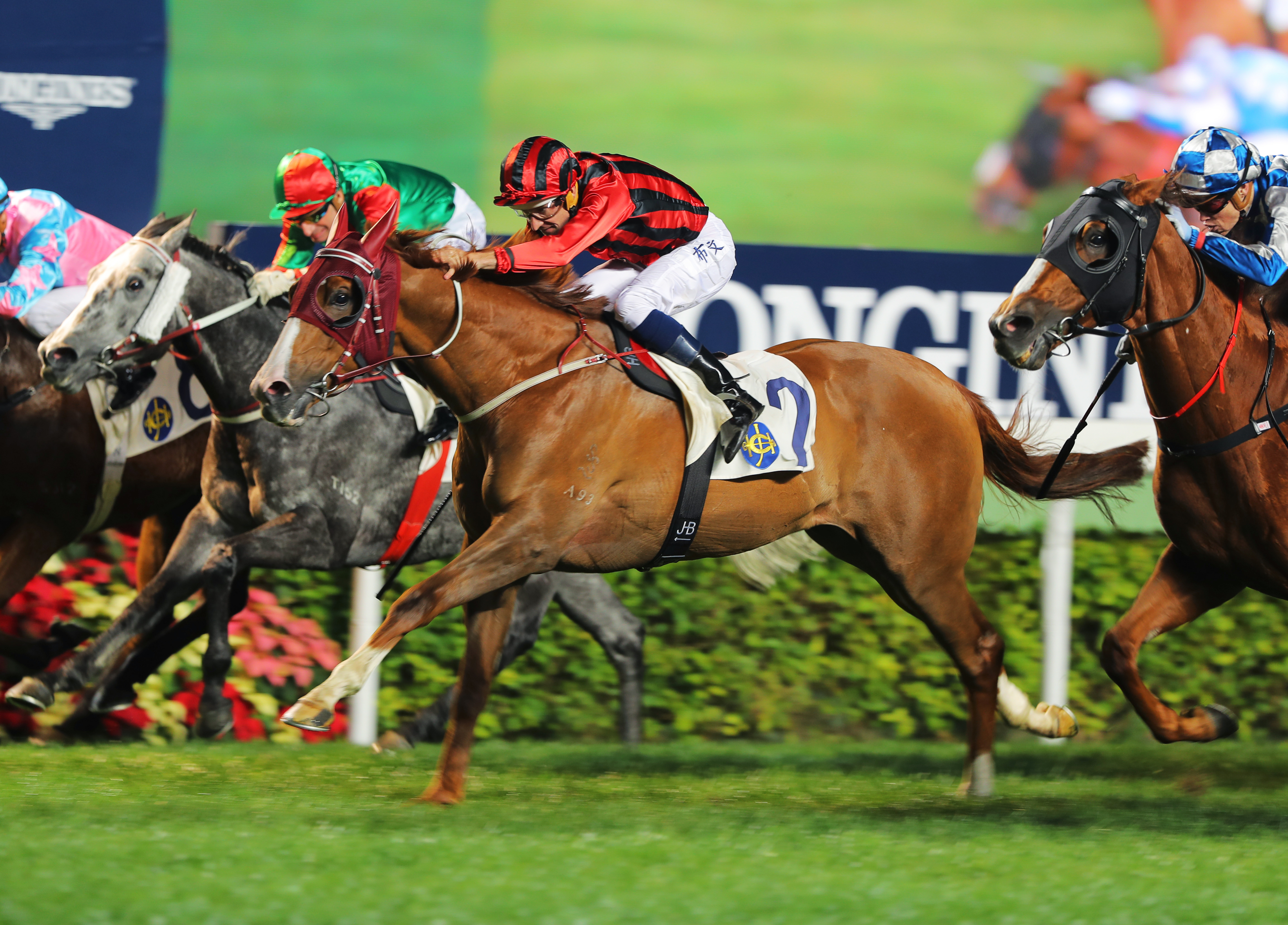 Eagle Way wins his Hong Kong debut on Dec. 11, 2016