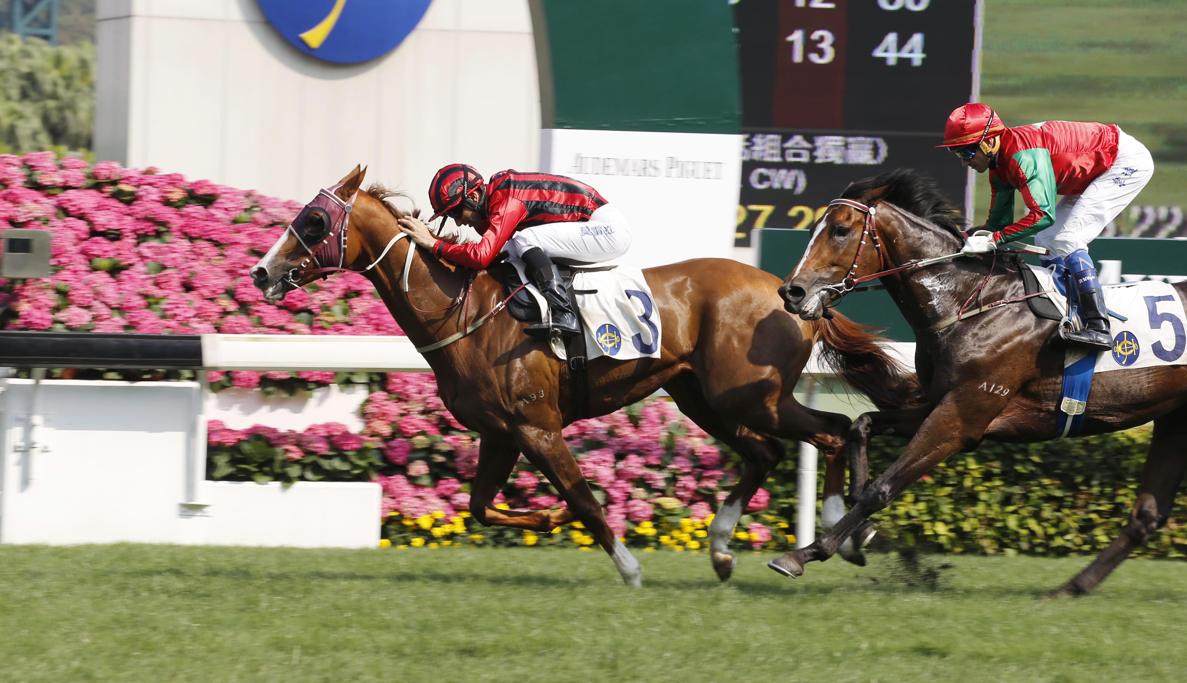 Eagle Way wins the 2017 Queen Mother Memorial Cup at Happy Valley