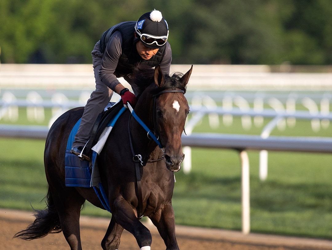 Eagle Express trains at Saratoga Race Course in July 2021
