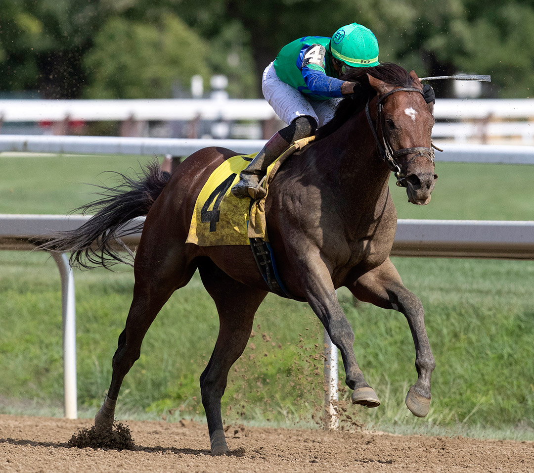 Eagle Orb wins an August 2020 maiden race at Saratoga Race Course