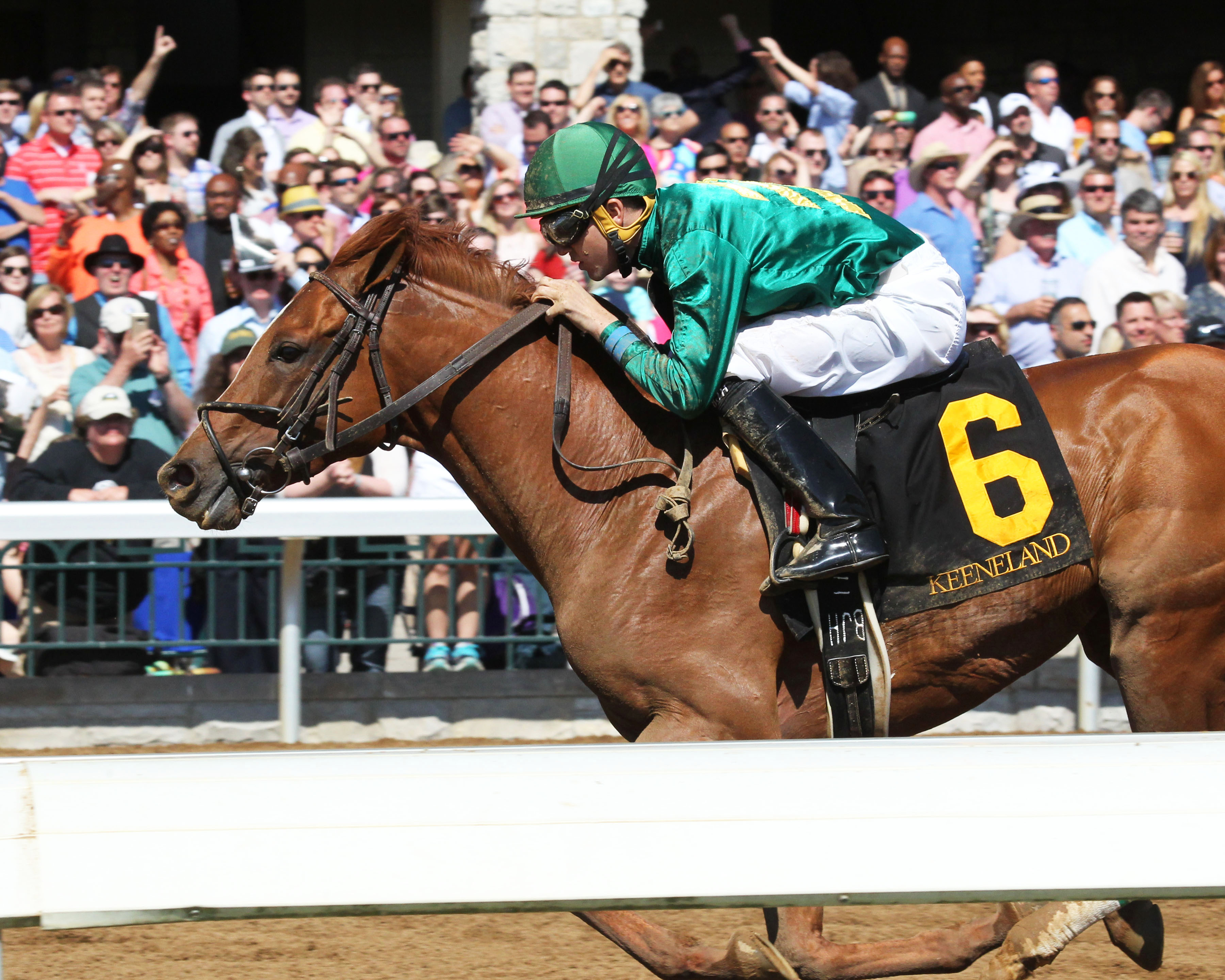 Eagle wins the Ben Ali