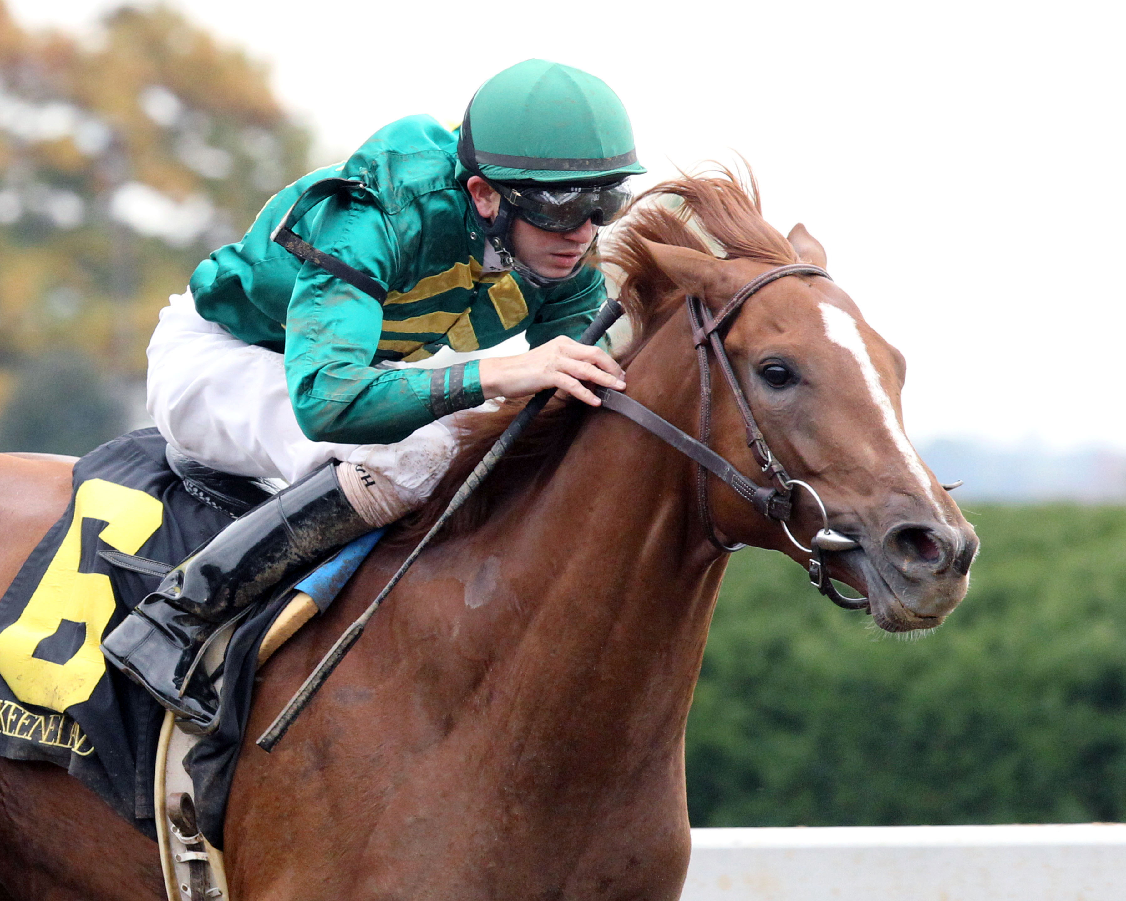 Eagle wins an allowance race