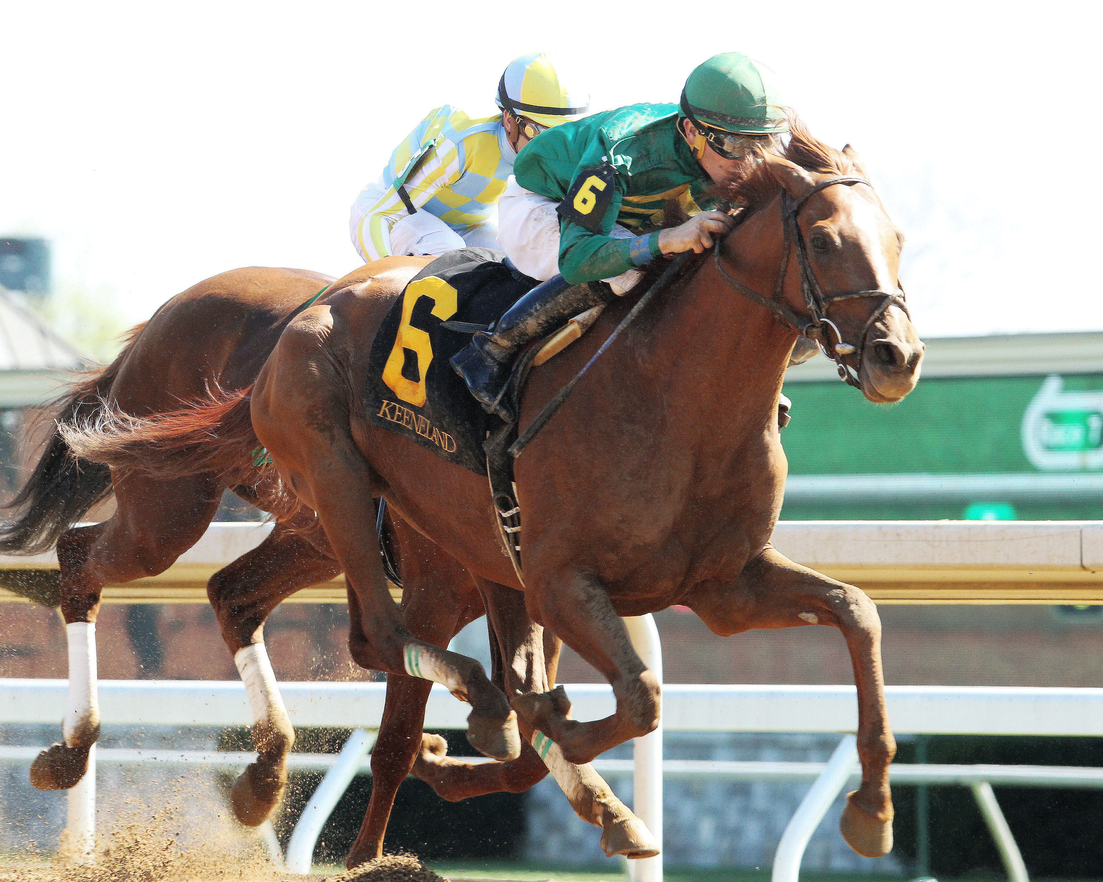Eagle wins the Ben Ali