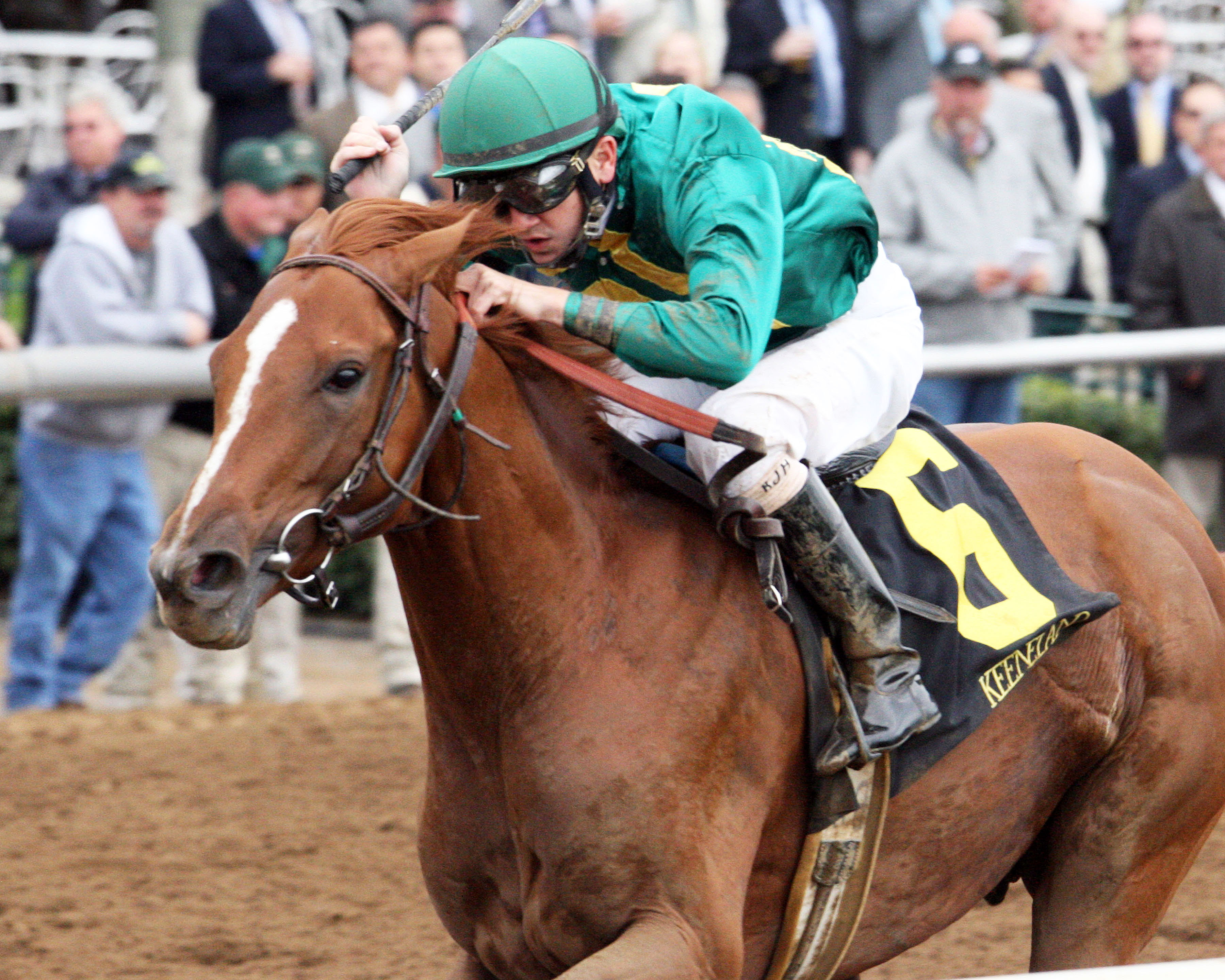 Eagle wins an allowance race