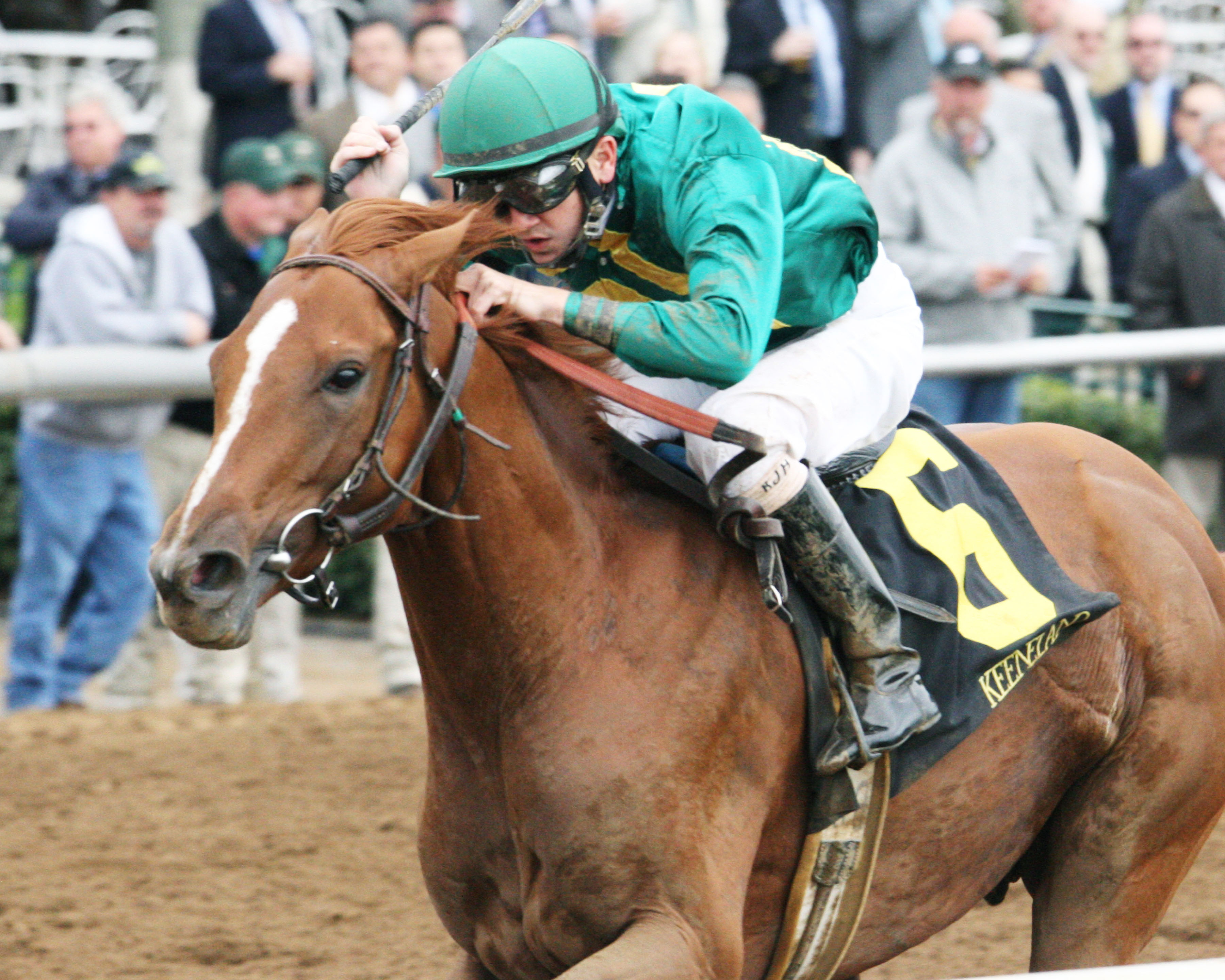 Eagle wins a 2014 allowance race
