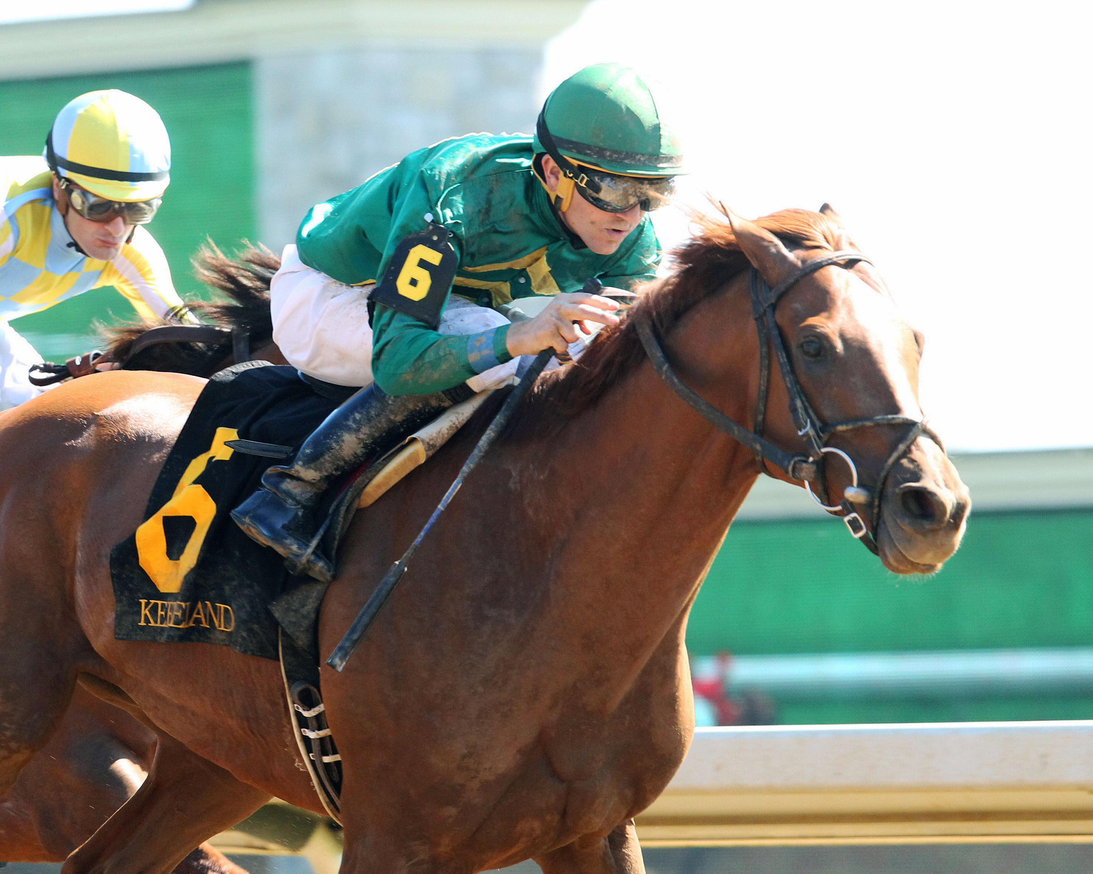 Eagle wins the Ben Ali Stakes