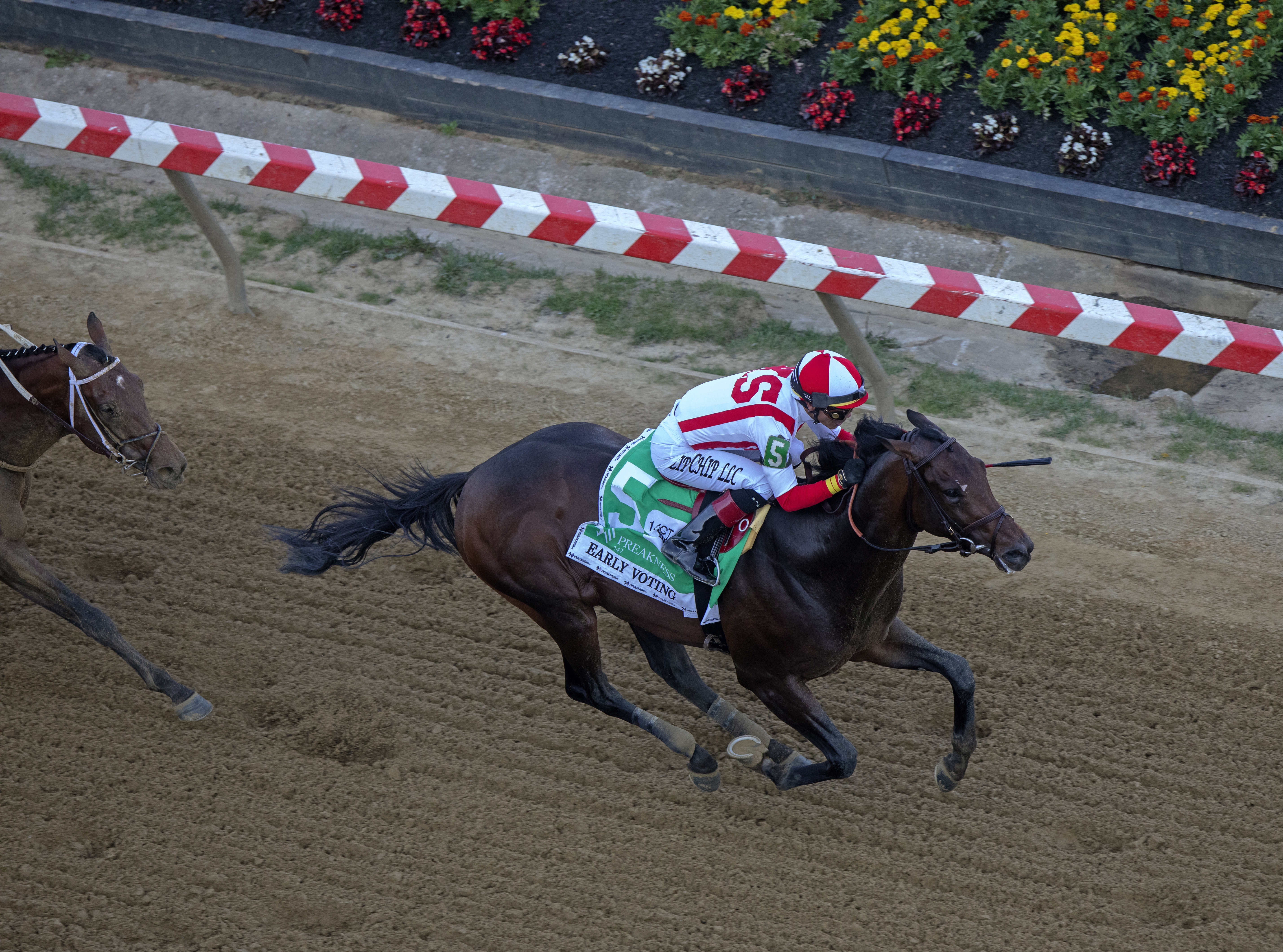 Early Voting wins Preakness on May 21 2022
