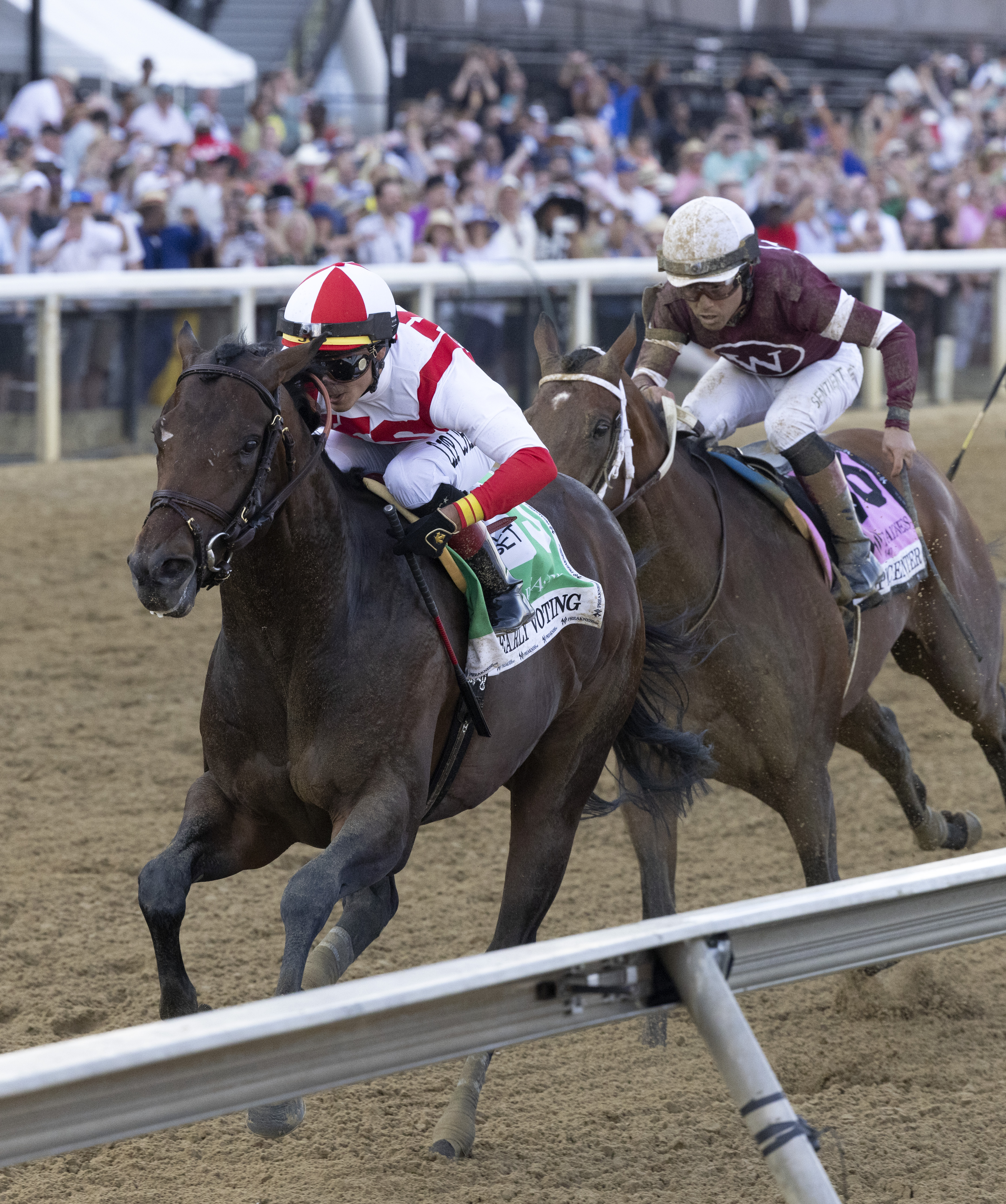 Early Voting, Epicenter 1-2 in Preakness 5-21-2022