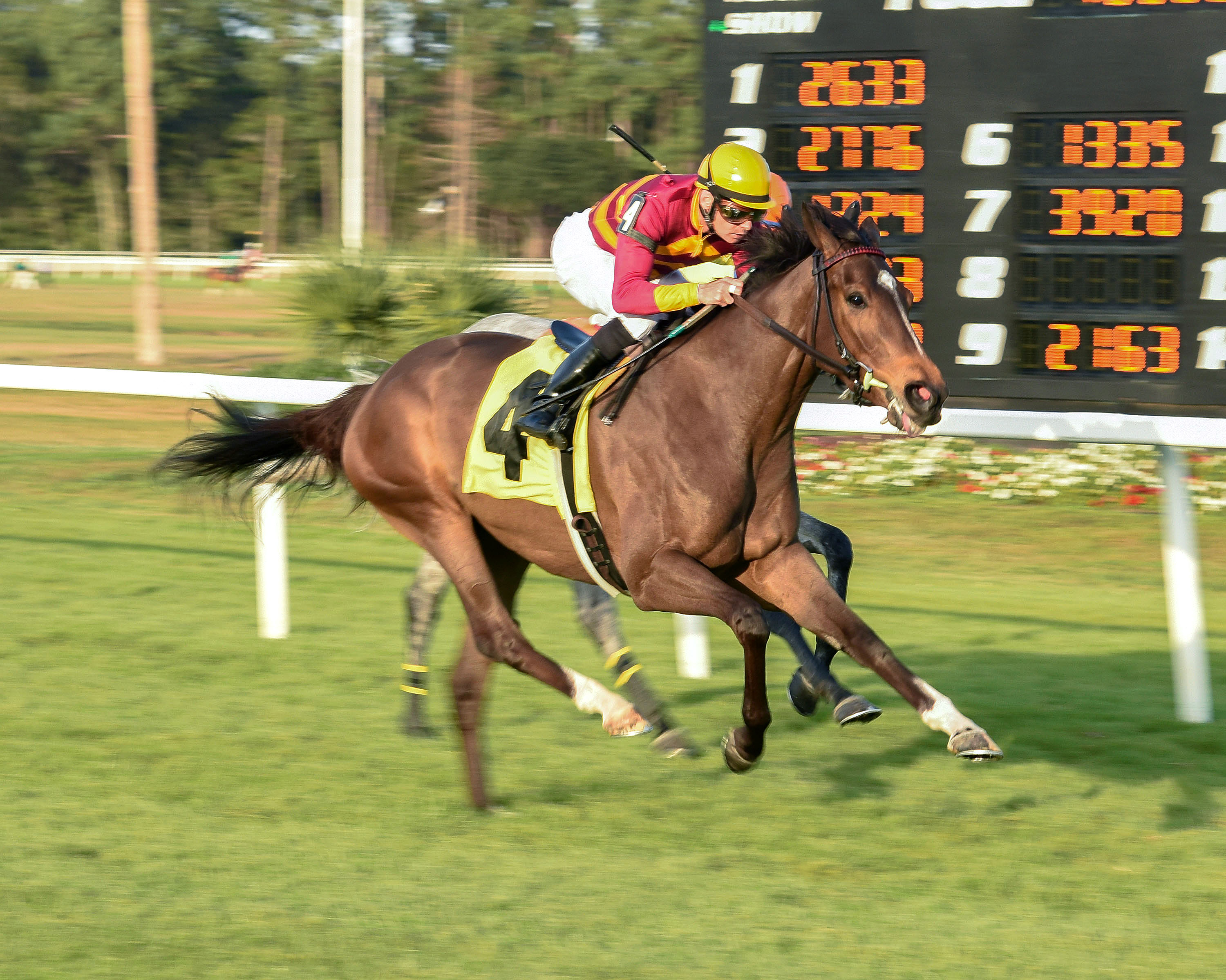 Earring wins a Jan. 21 allowance race