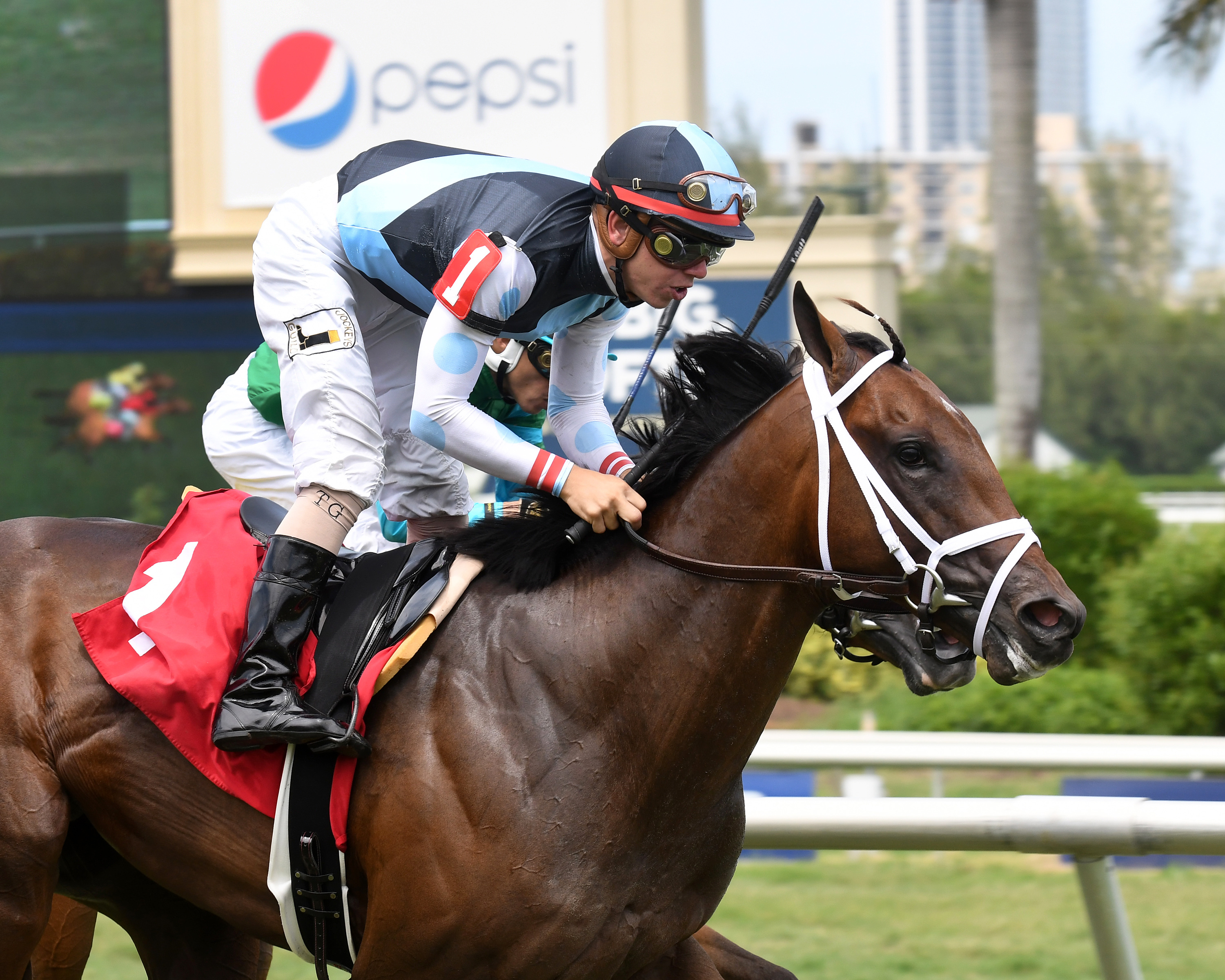 Earth wins a maiden race at Gulfstream