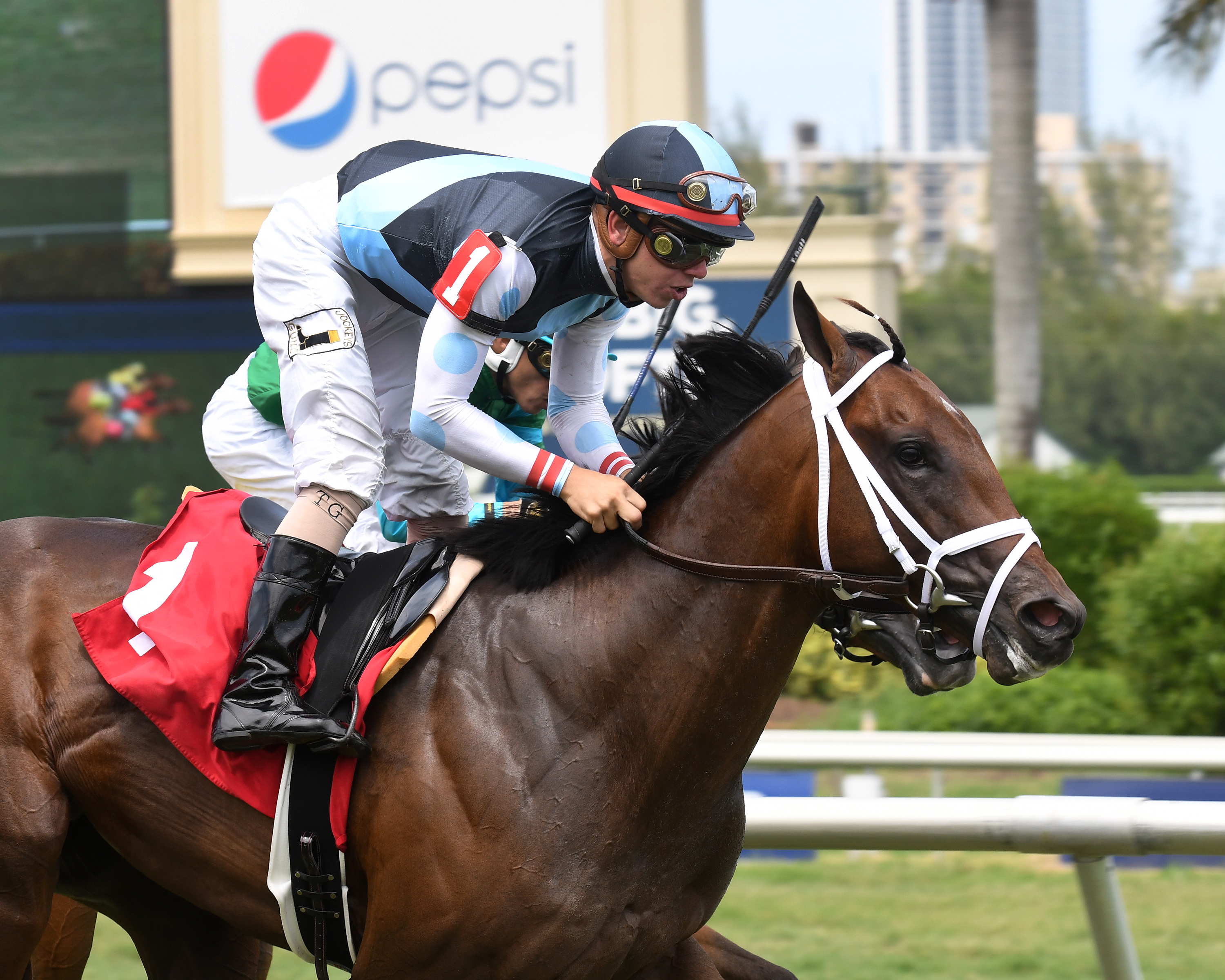 Earth wins his maiden debut on June 11, 2017