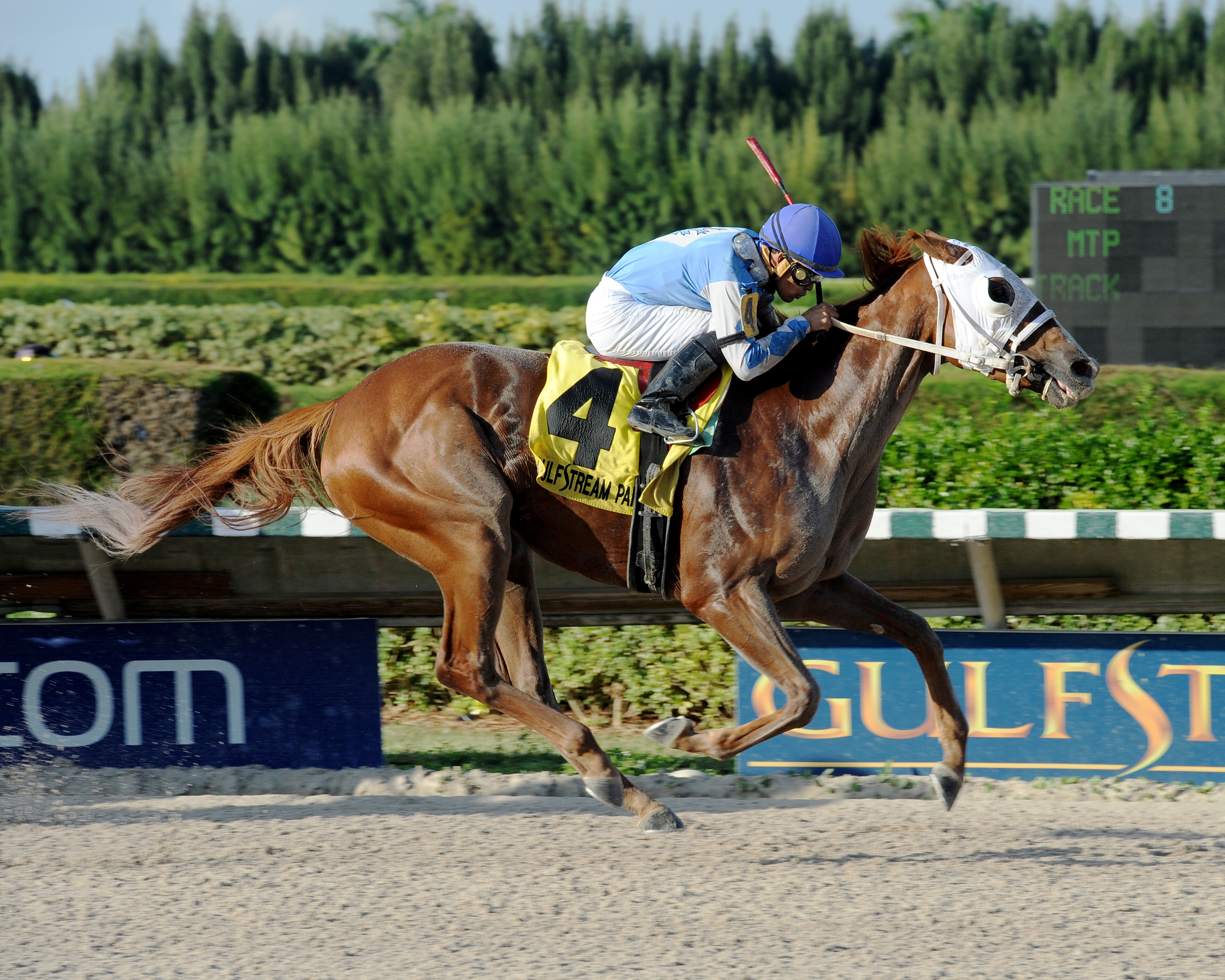 East Hall wins the Florida Millions Preview Classic
