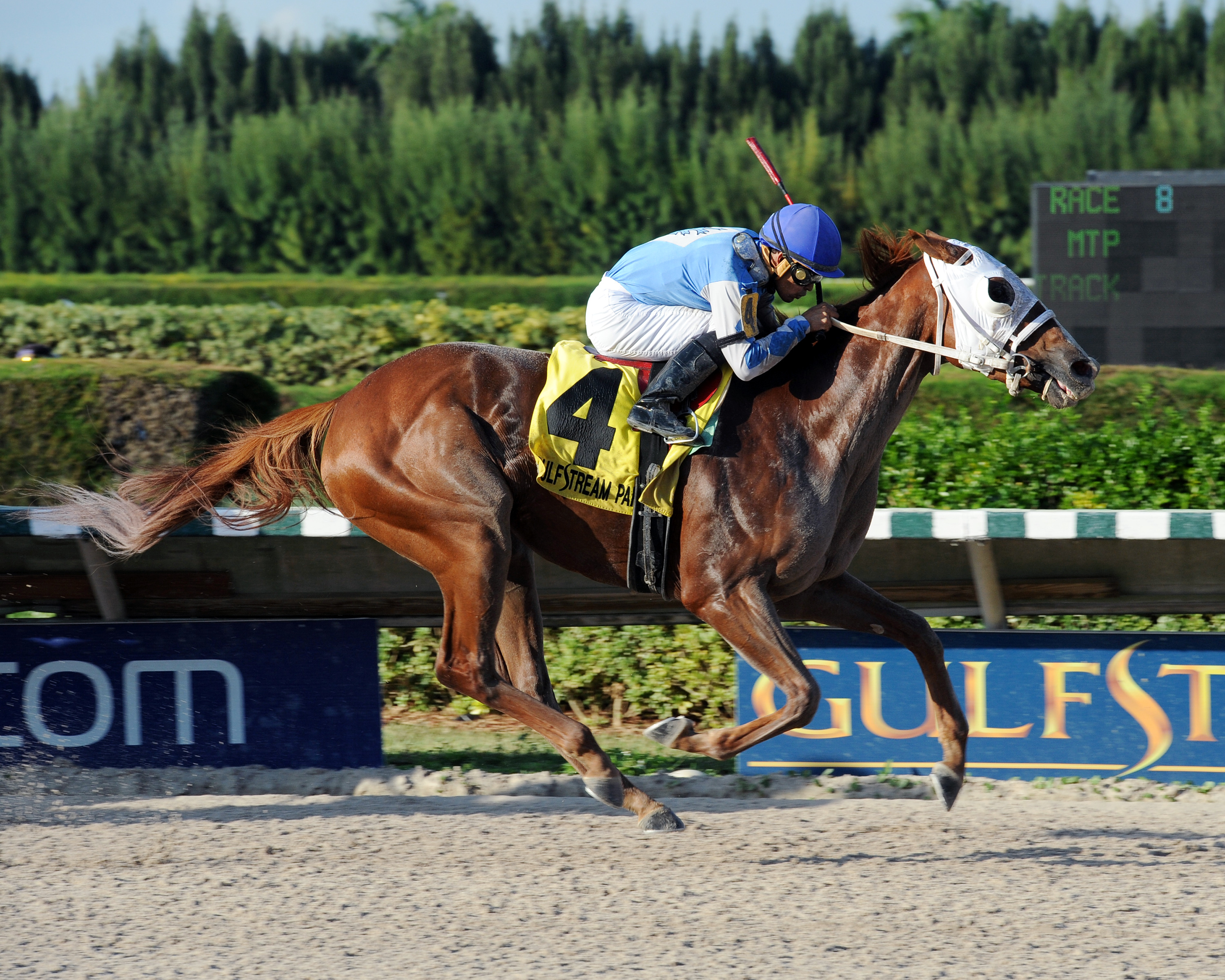 East Hall wins the Millions Classic Preview Stakes