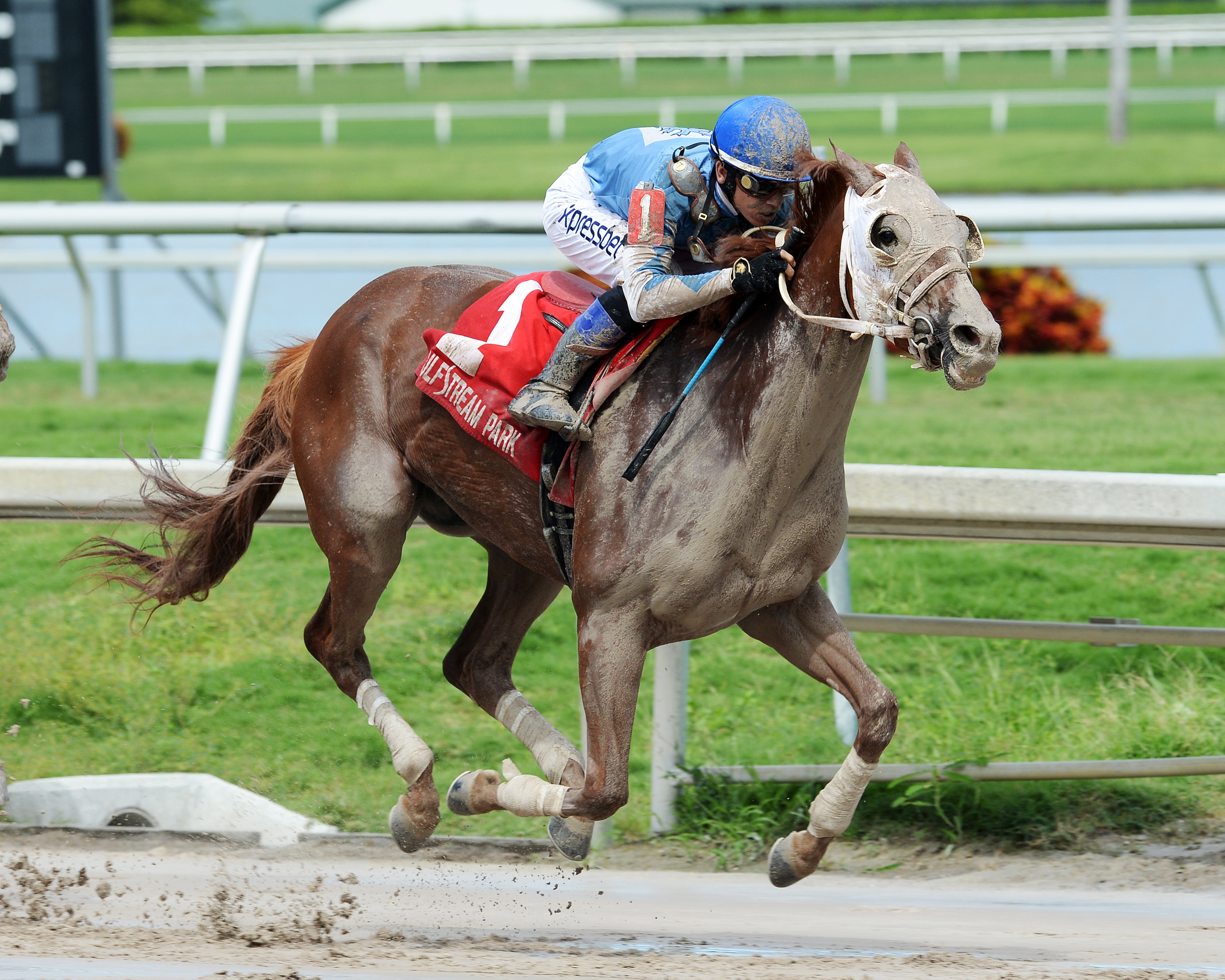 East Hall wins the Sensitive Prince