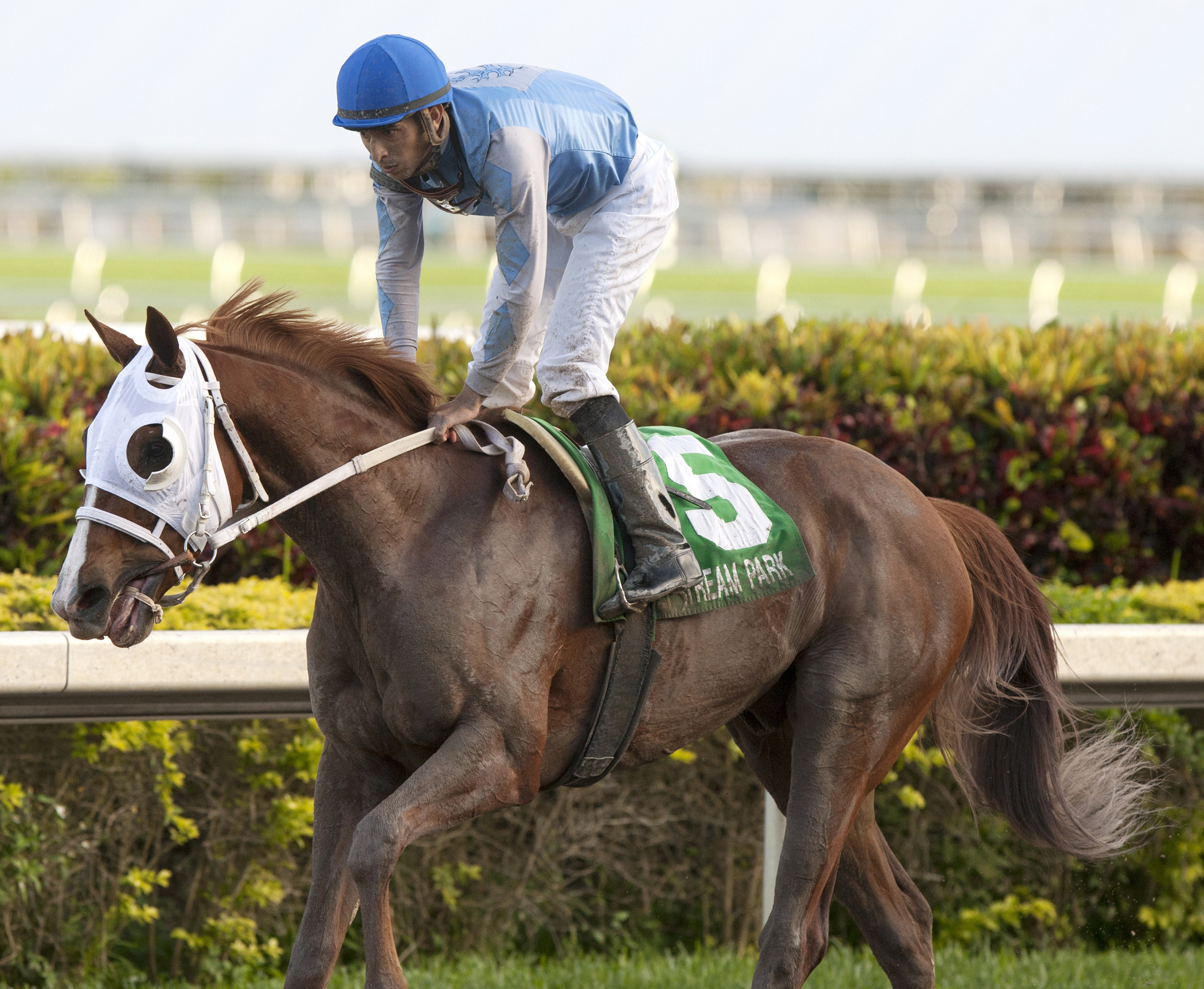 East Hall in the Gulfstream Park Derby
