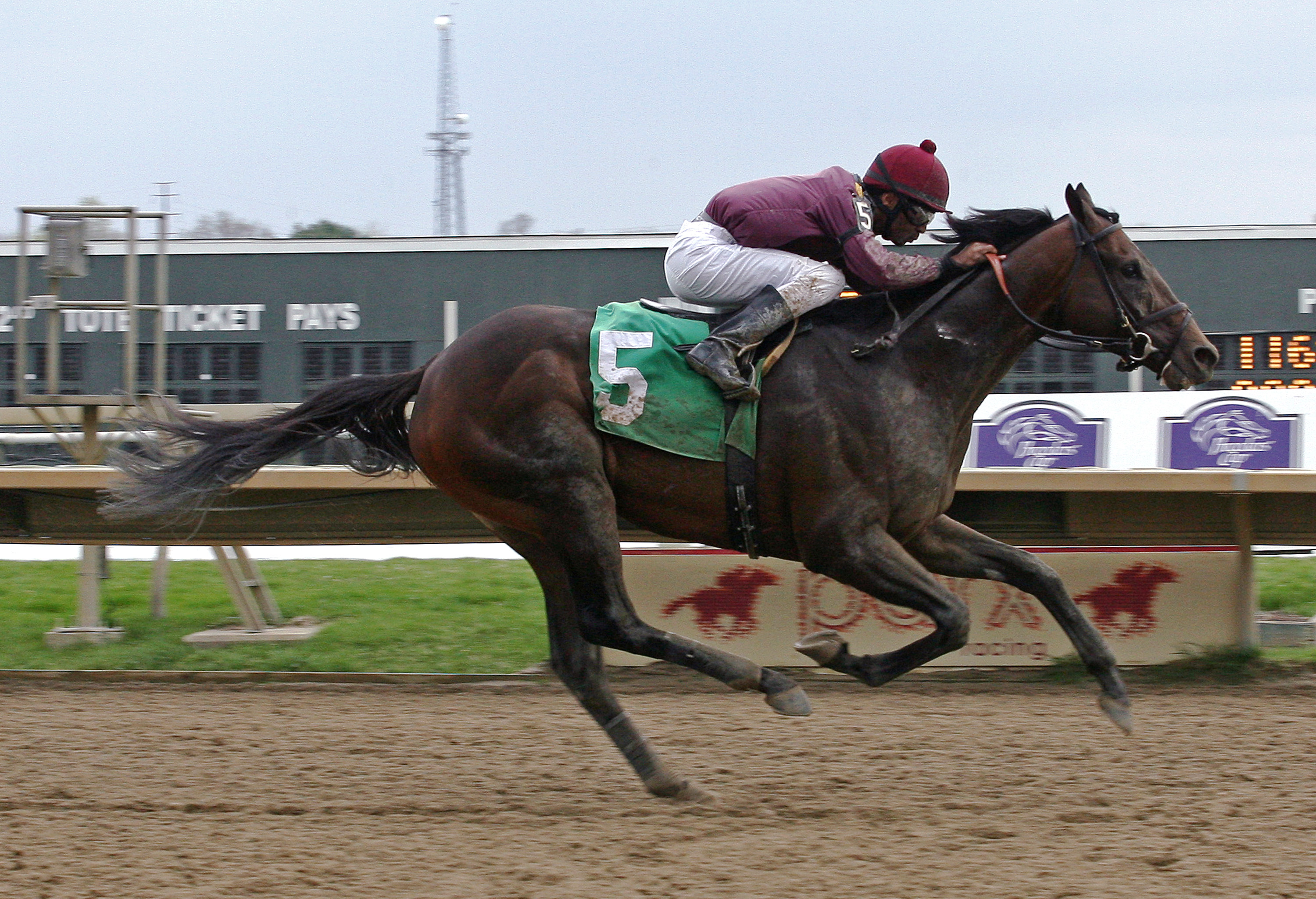 Easter Gift, allowance race