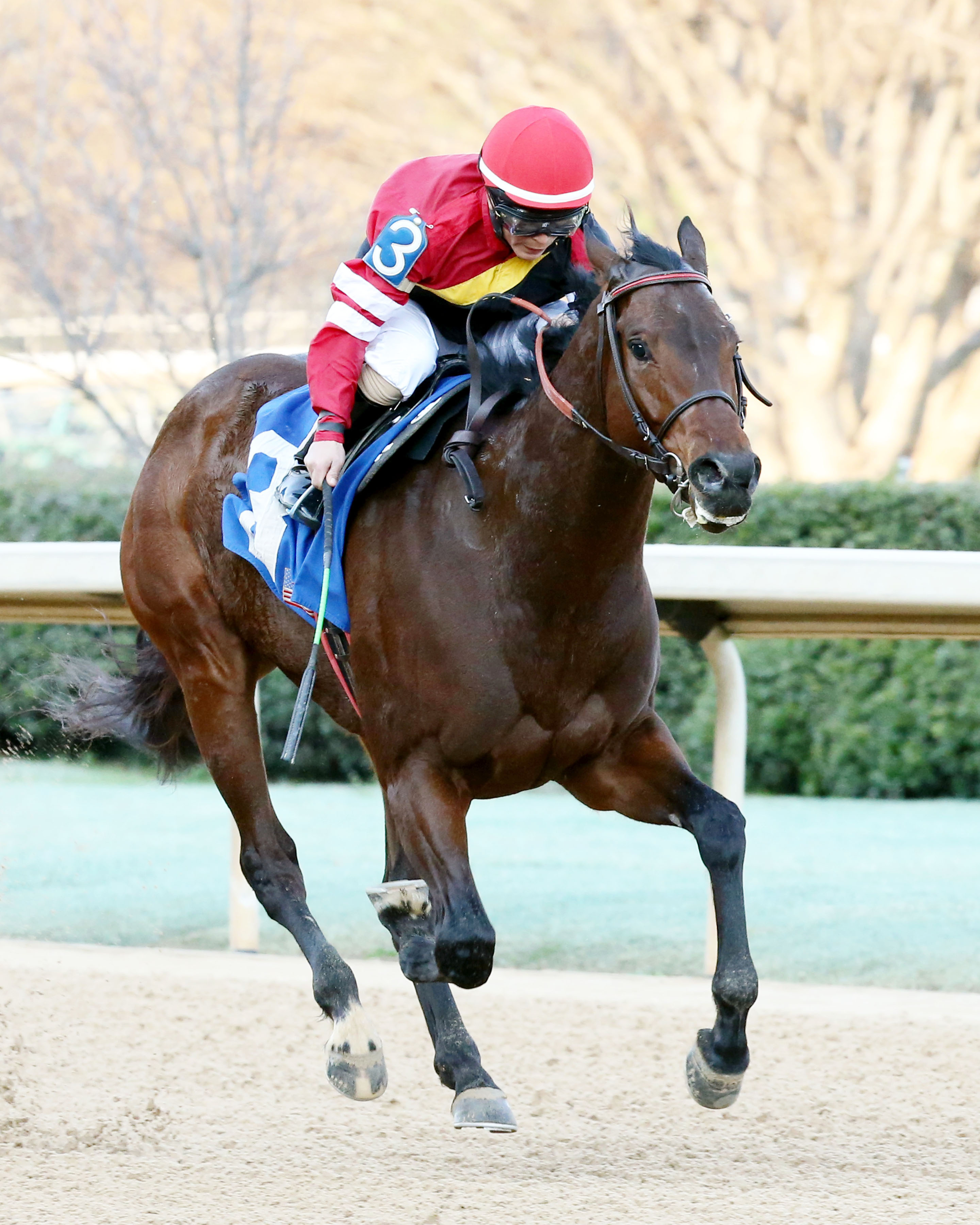 Easter Indy wins the Downthedustyroad Breeder's Stakes