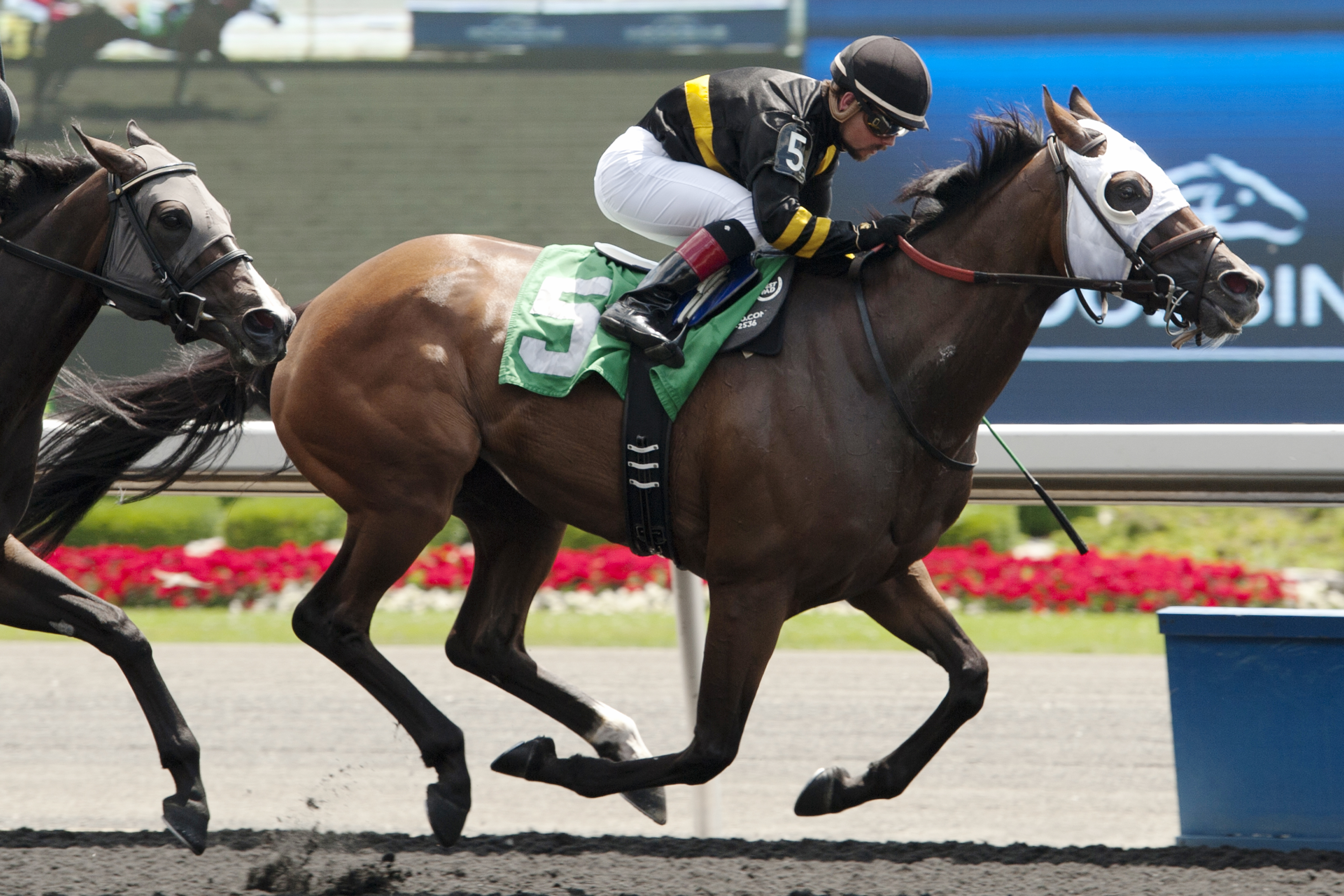 Eastern Atlantic wins a claiming race