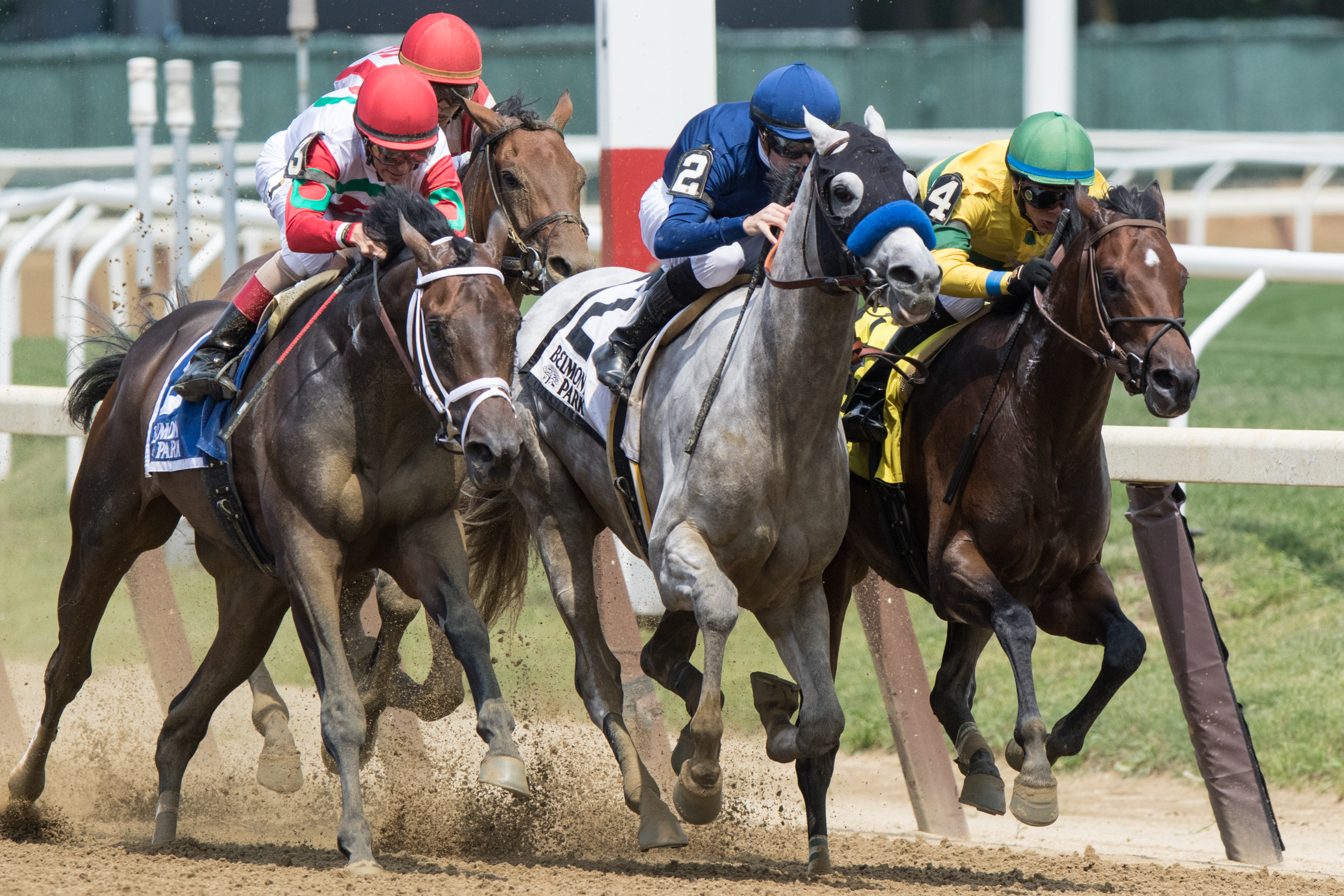 Rally Cry finishes third in the 2016 Easy Goer Stakes