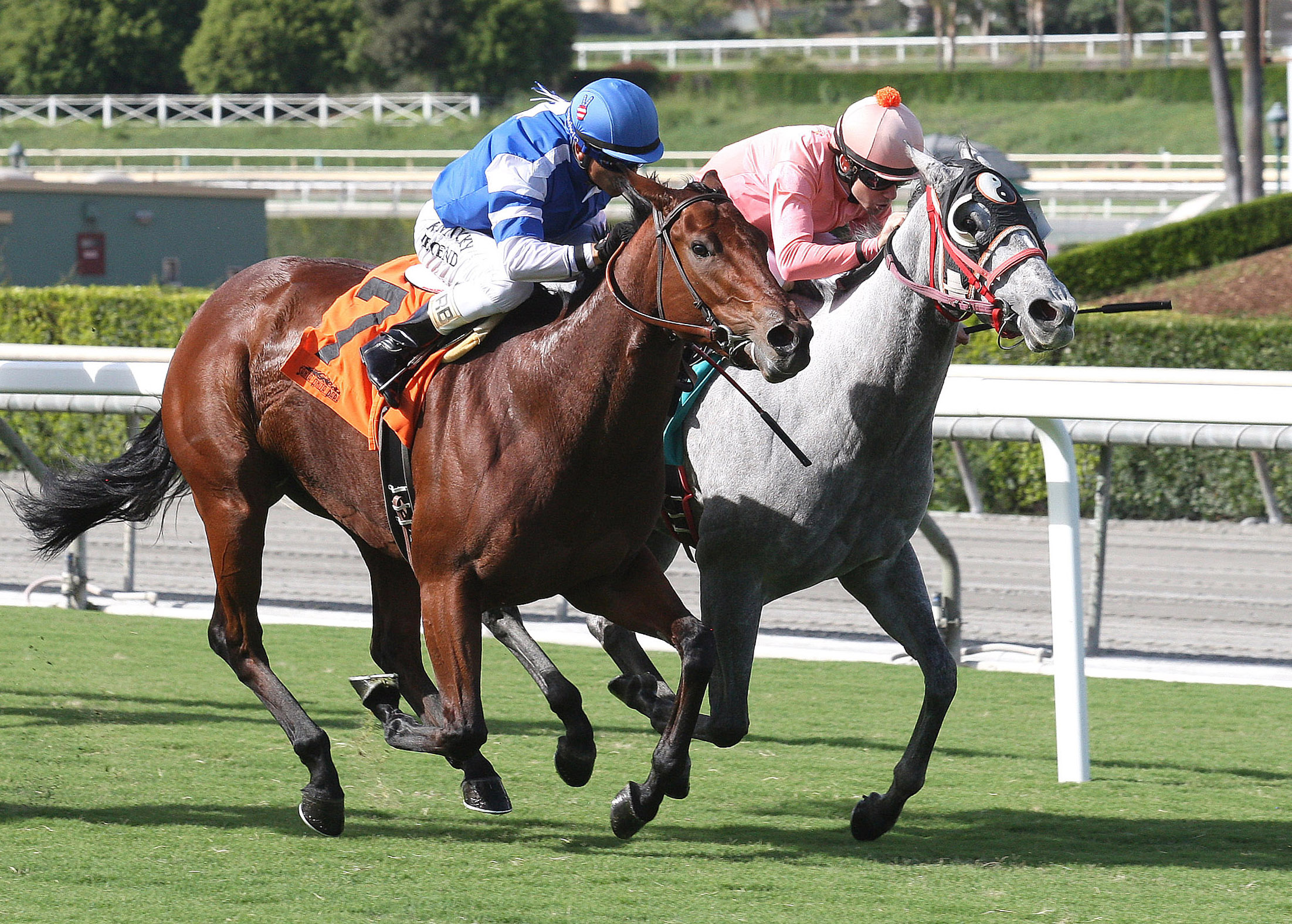 Easy Grader wins an Oct. 7, 2016 allowance