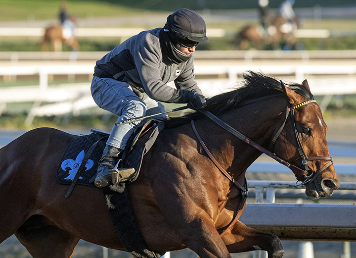 Easy Shot trains at Santa Anita on Feb. 23