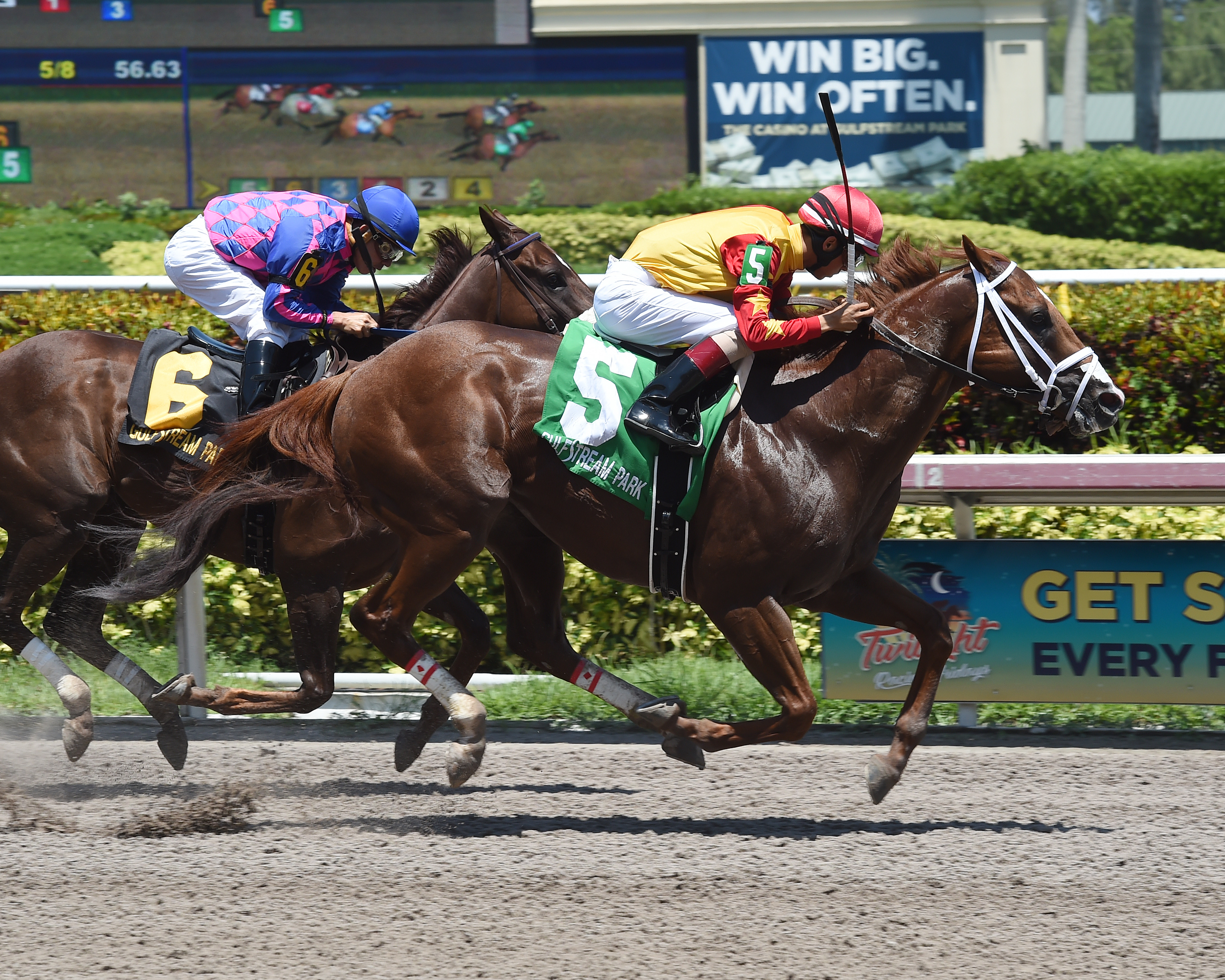 Easy to Say wins the Opening Lead Handicap