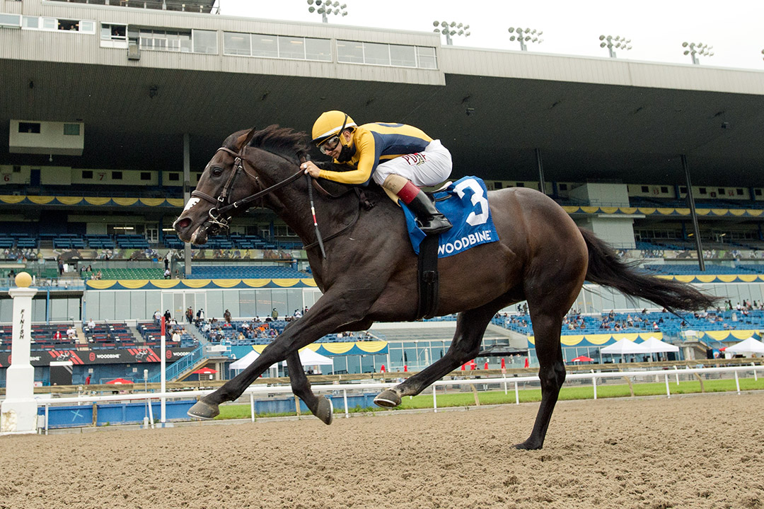 Easy Time wins the 2021 Marine Stakes at Woodbine Racetrack