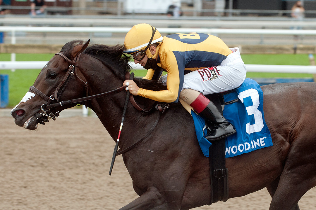 Easy Time wins the 2021 Marine Stakes at Woodbine Racetrack