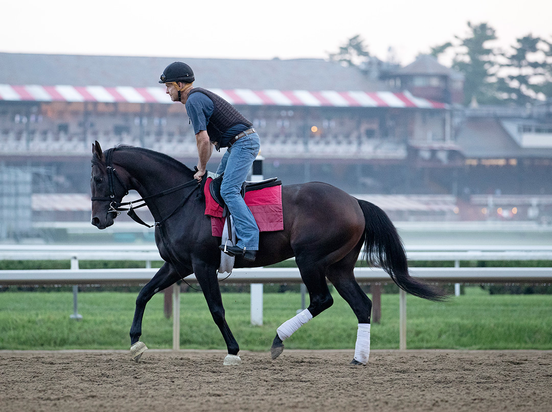 Easy Time at Saratoga Race Course in August 2021