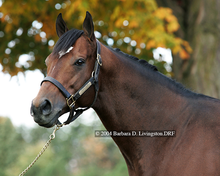 Eavesdropper in 2004
