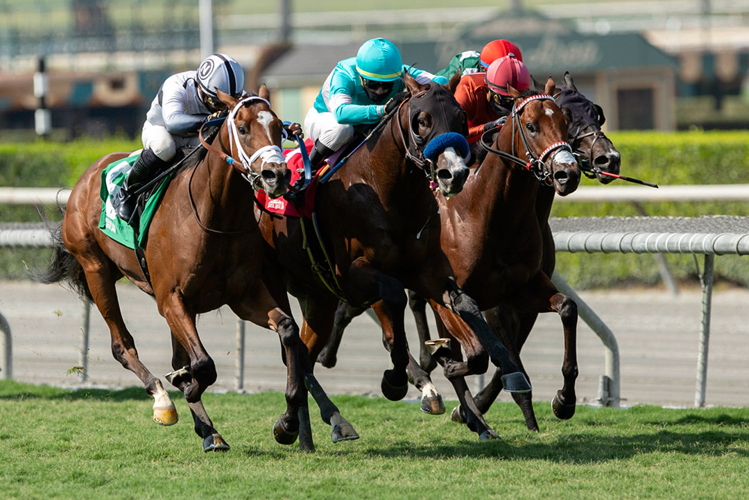 Cotopaxi (right) finishes third in the 2020 Zuma Beach Stakes at Santa Anita Park