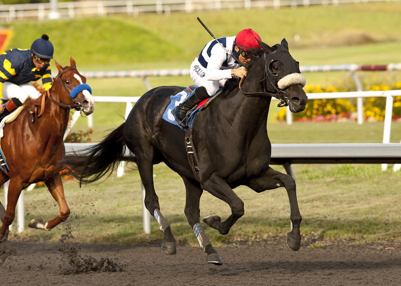 Eblouissante/debut victory