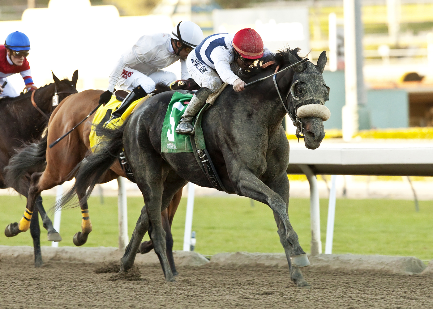 Eblouissante, allowance race