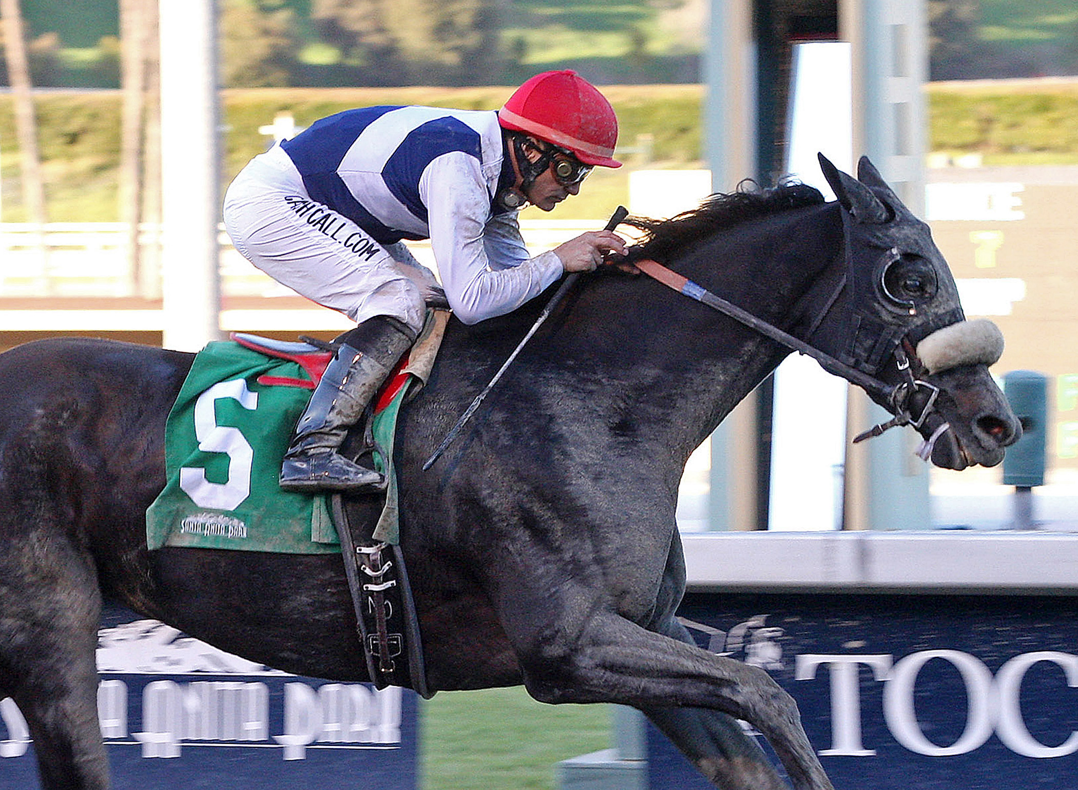 Eblouissante, allowance race