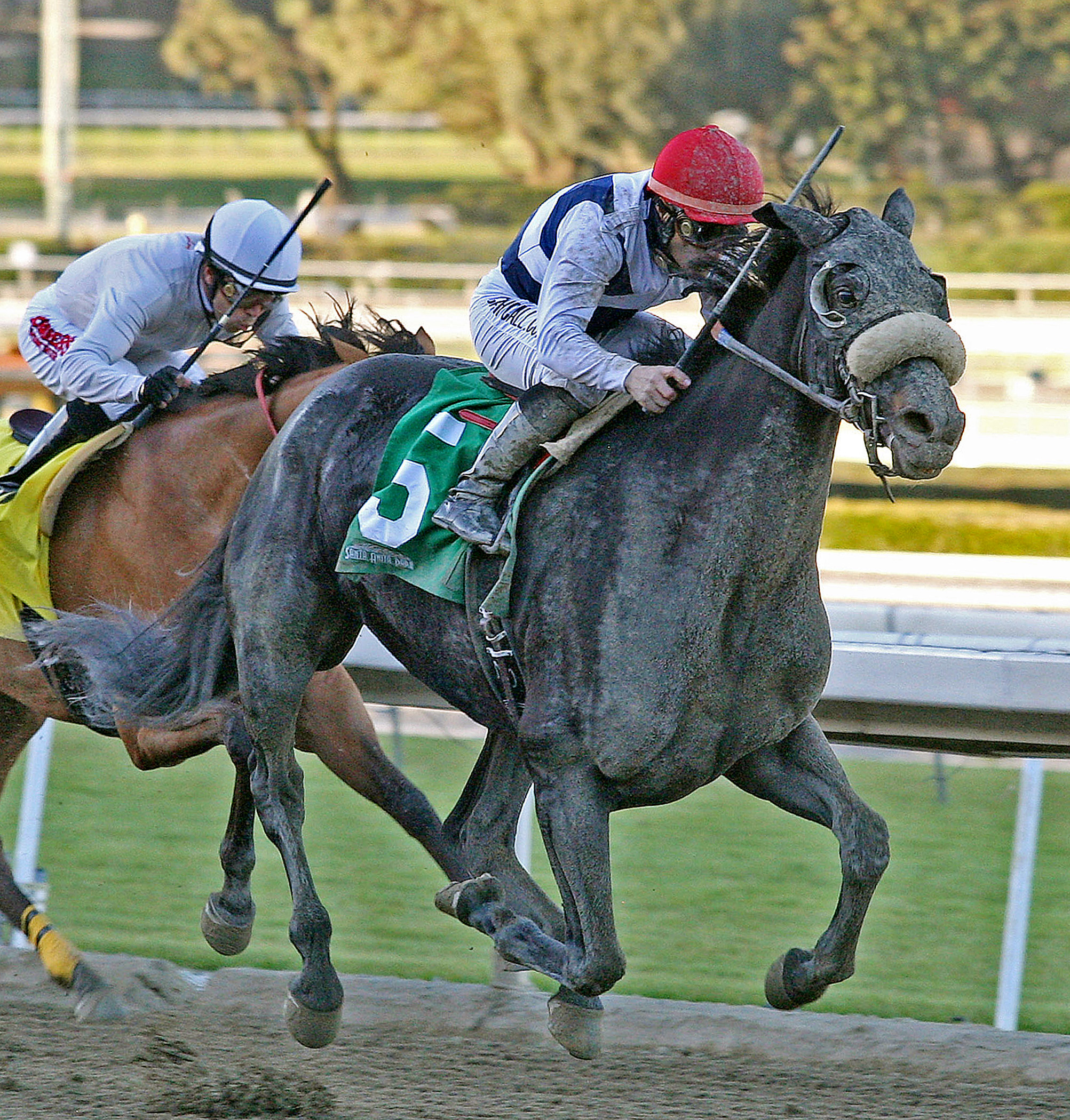 Eblouissante, allowance race