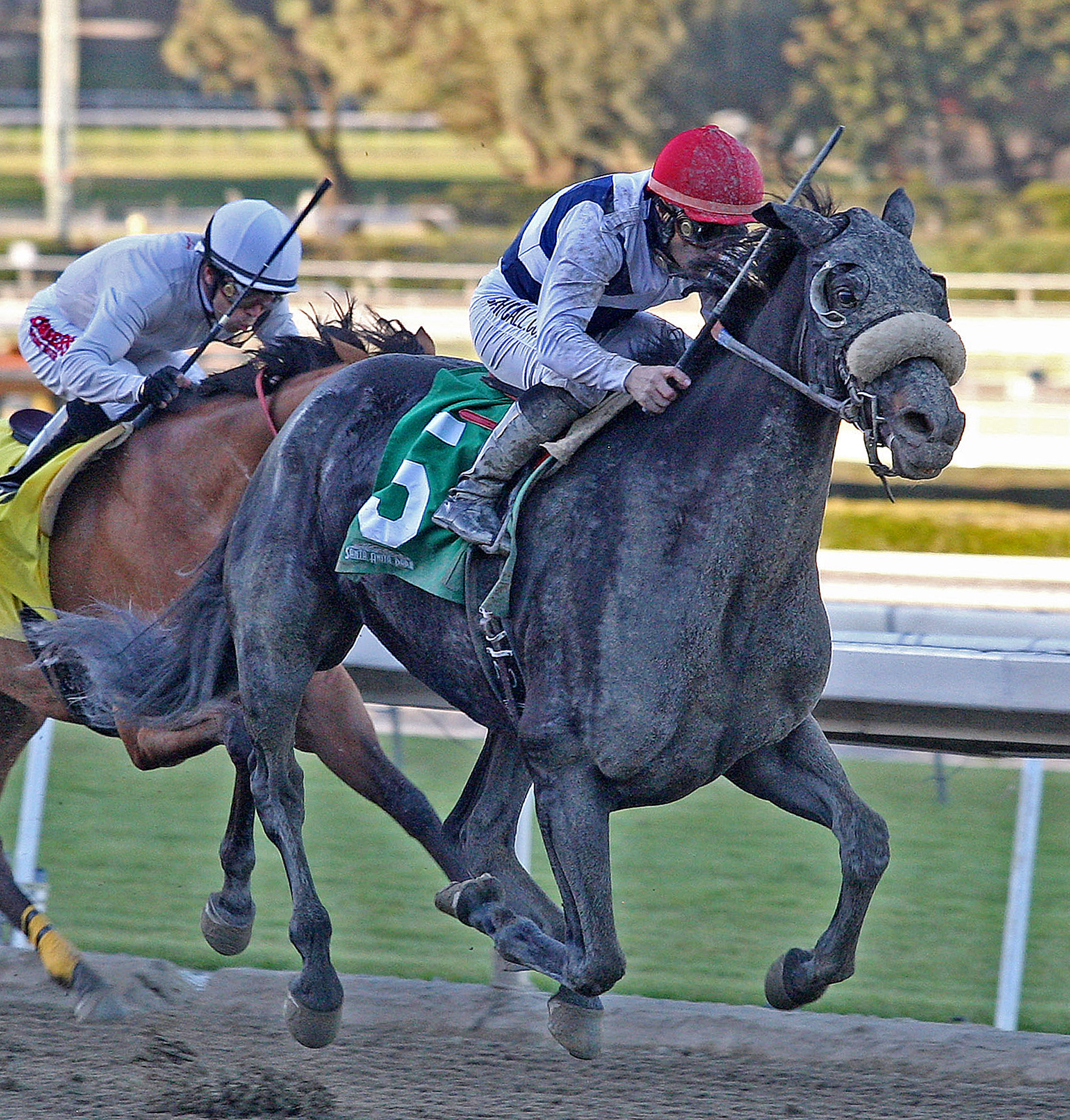 Eblouissante, allowance win