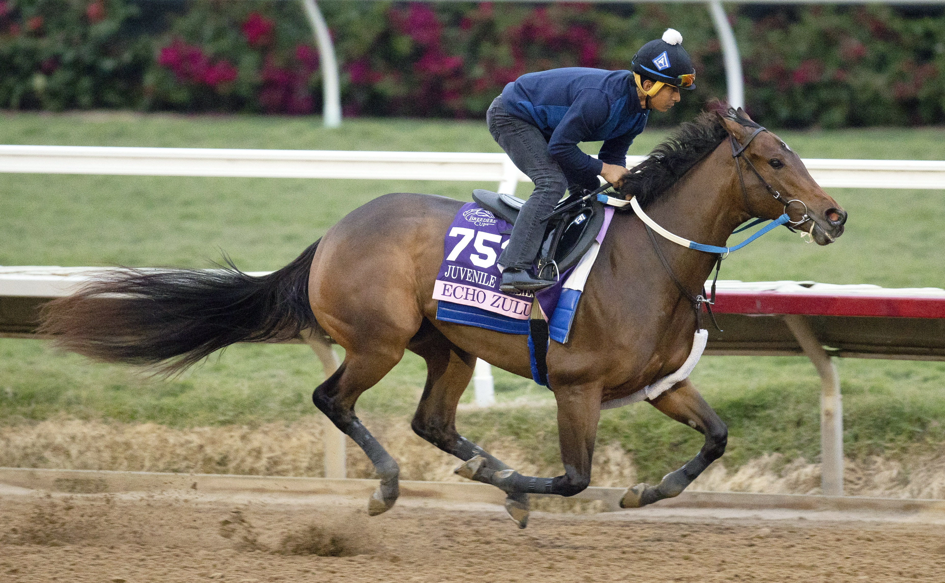 Echo Zulu works at Del Mar 10-31-2021
