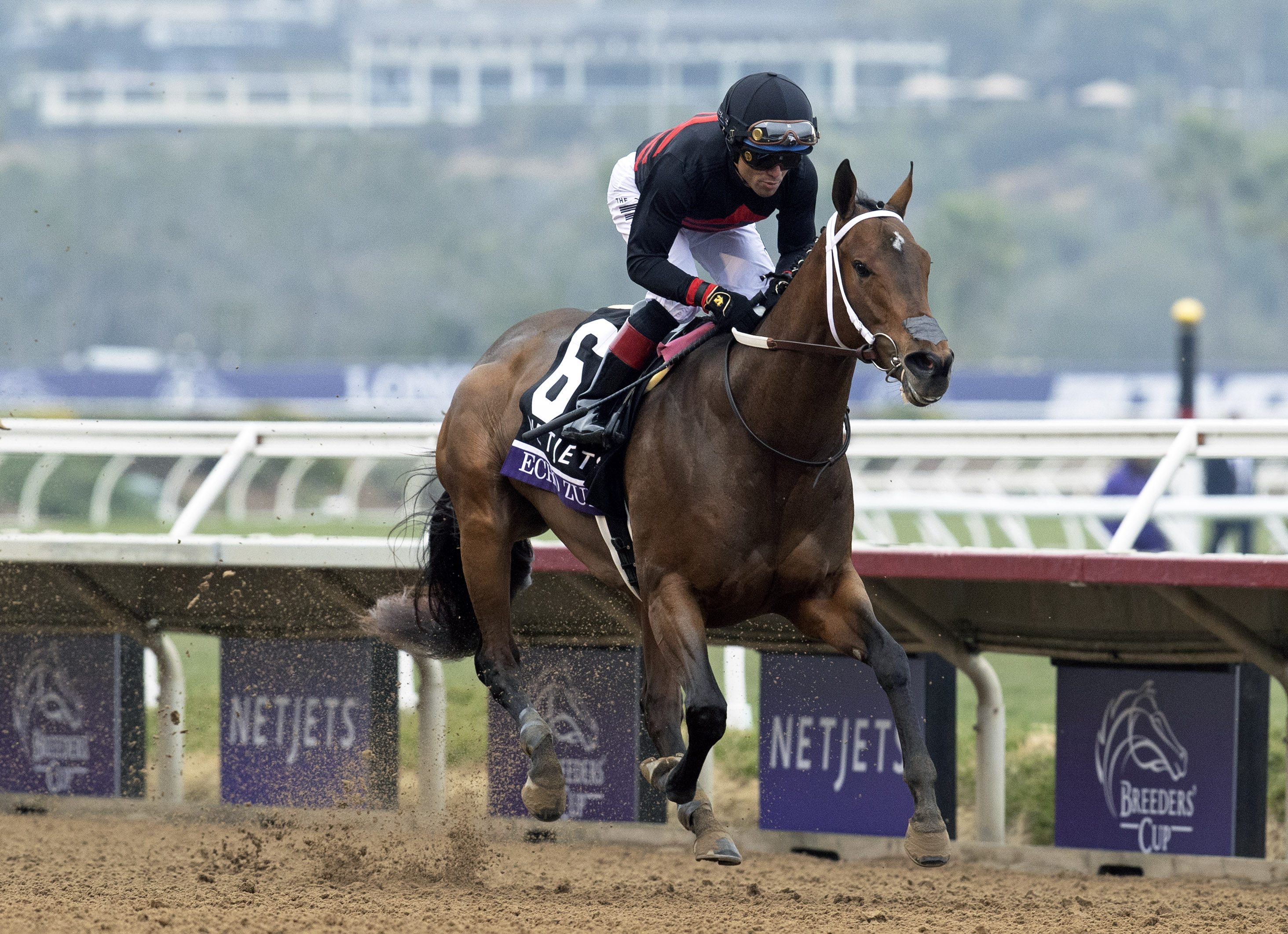Echo Zulu - BC Juvenile Fillies 2021