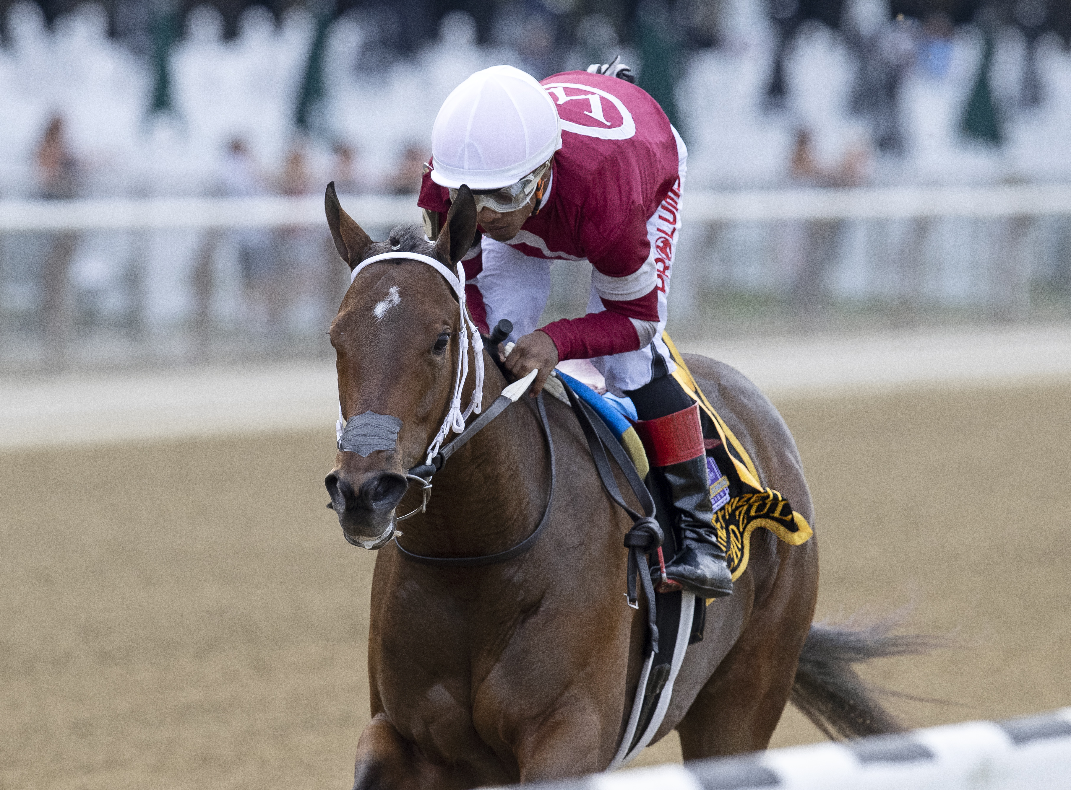 Echo Zulu wins the Frizette 10-3-2021