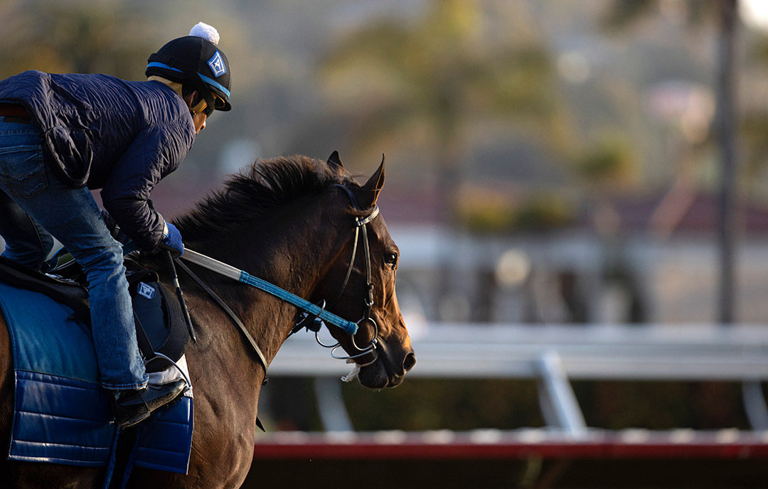 Echo Zulu trains at Del Mar on Oct. 26