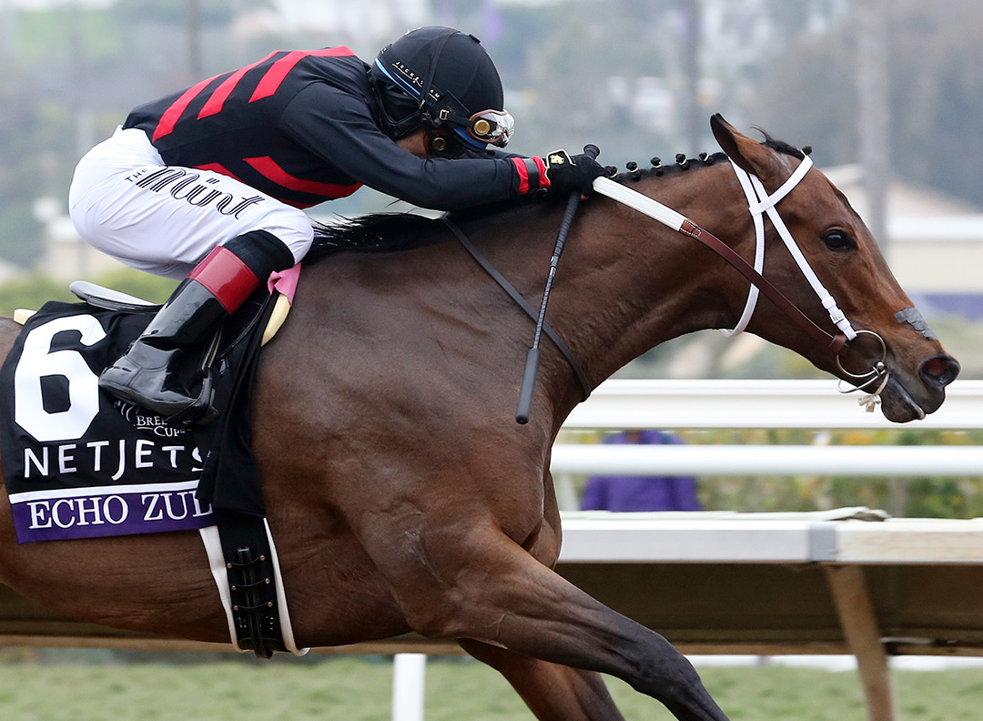 Echo Zulu wins the 2021 Breeders' Cup Juvenile Fillies at Del Mar