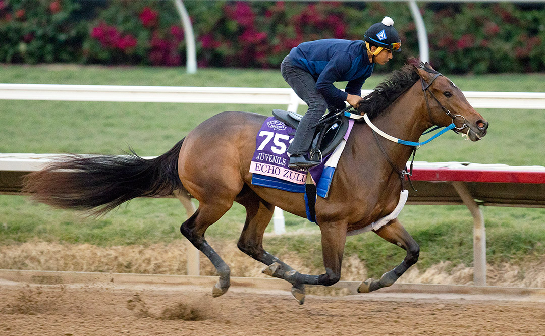 Echo Zulu trains at Del Mar on Oct. 31