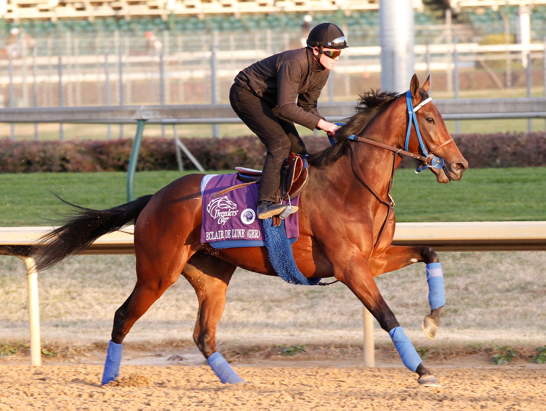 Eclair de Lune wins Beverly D.