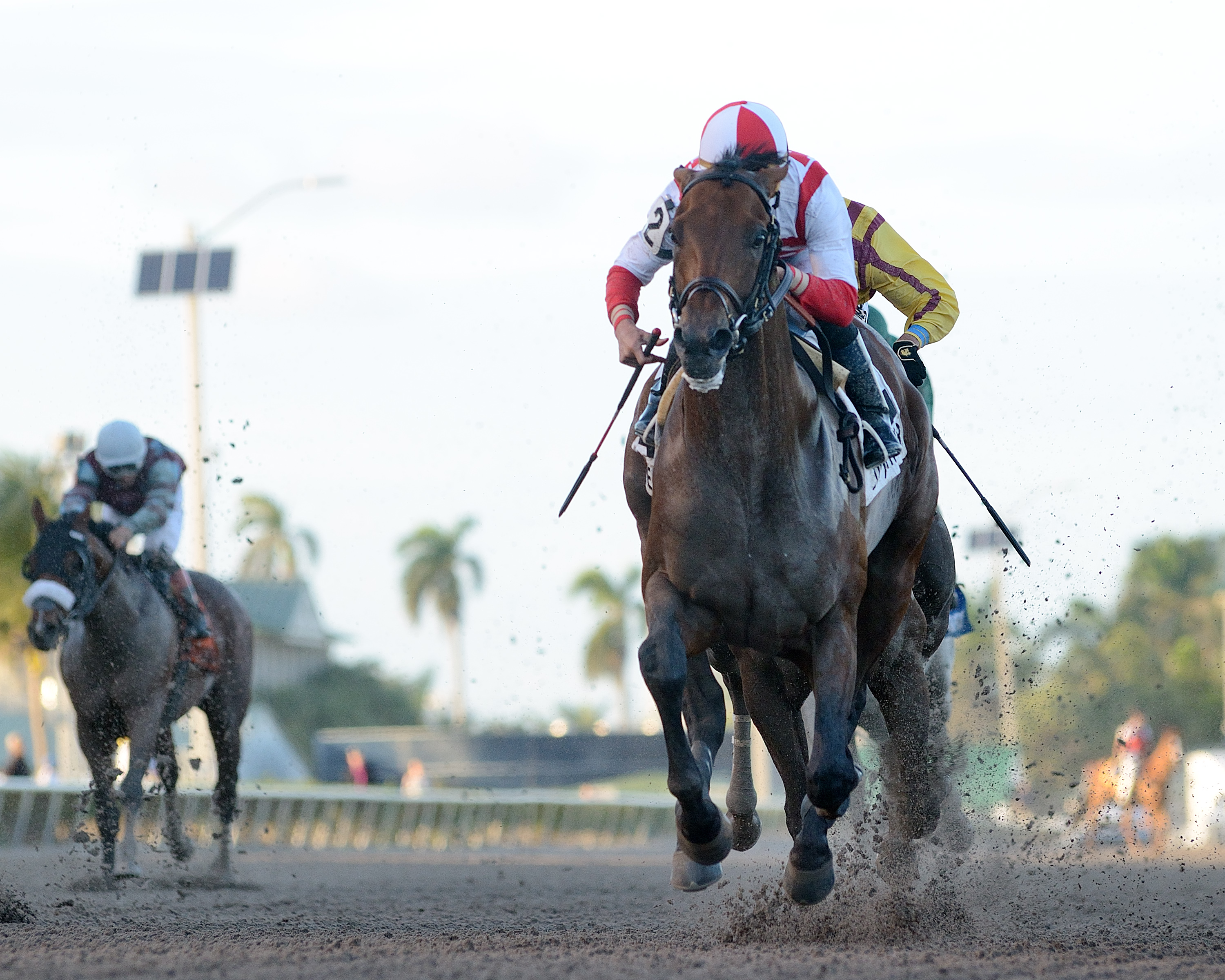 Economic Model wins 2018 Hal's Hope