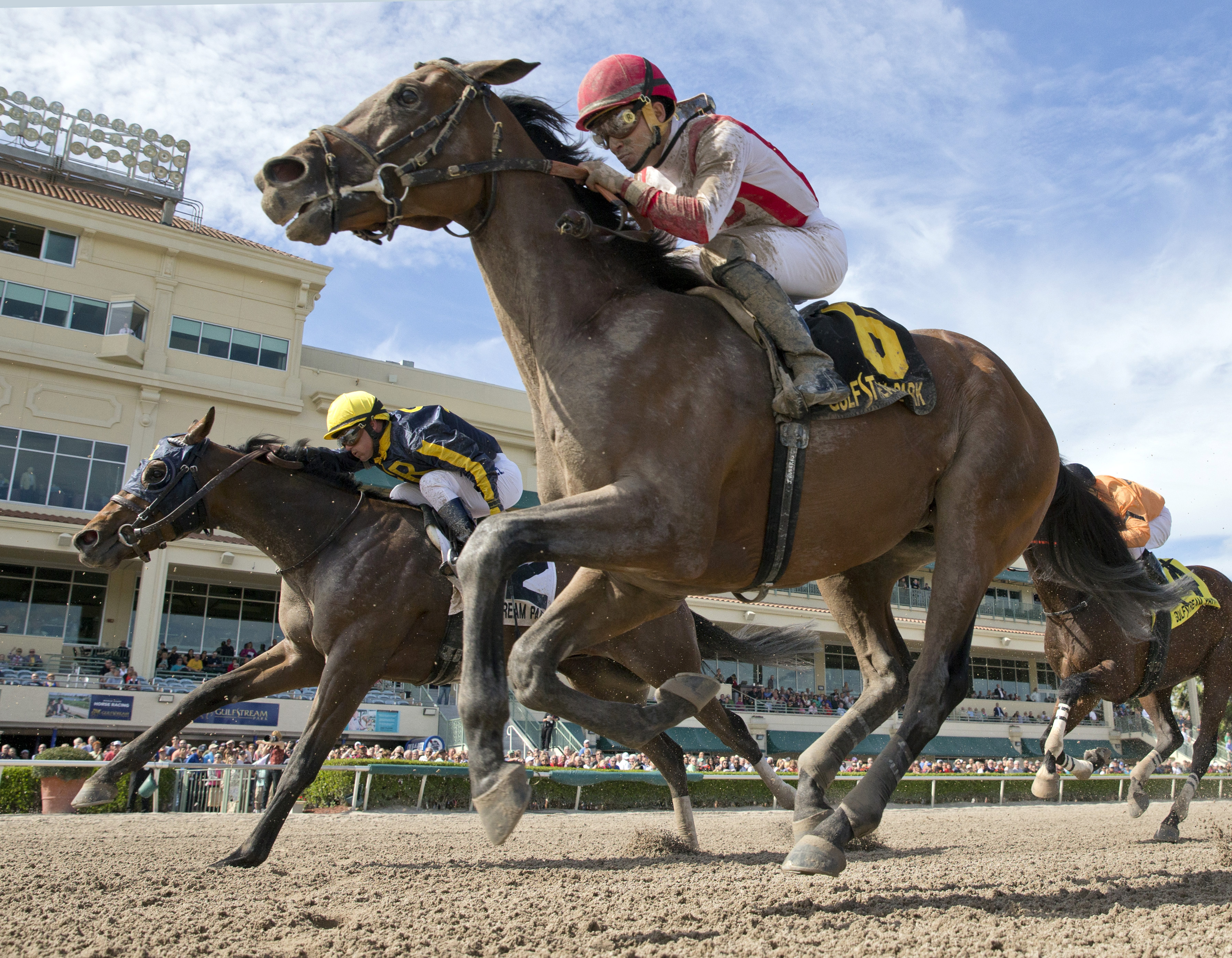Economic Model finishes second in the Swale Stakes