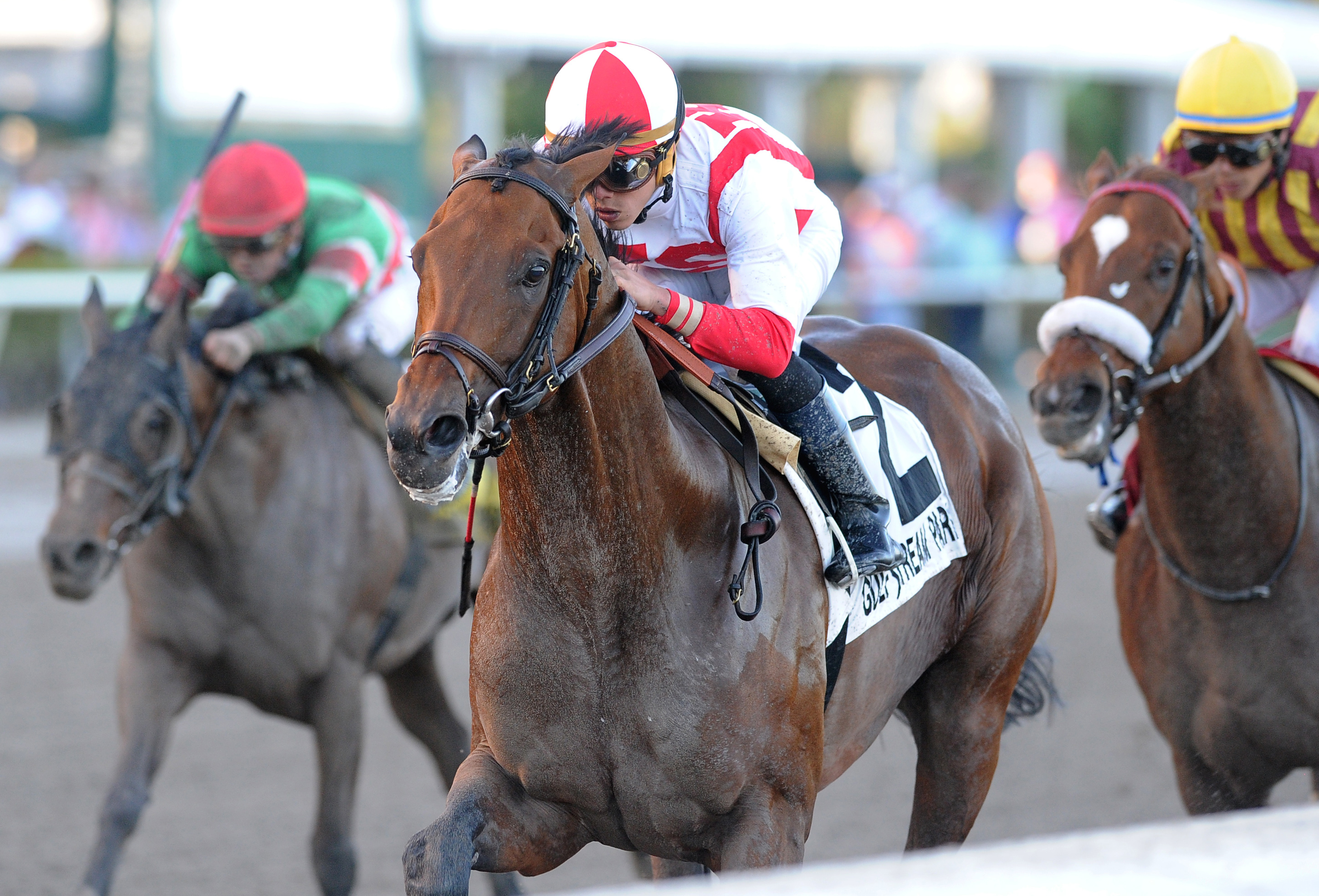 Economic Model wins the 2018 Hal's Hope Stakes